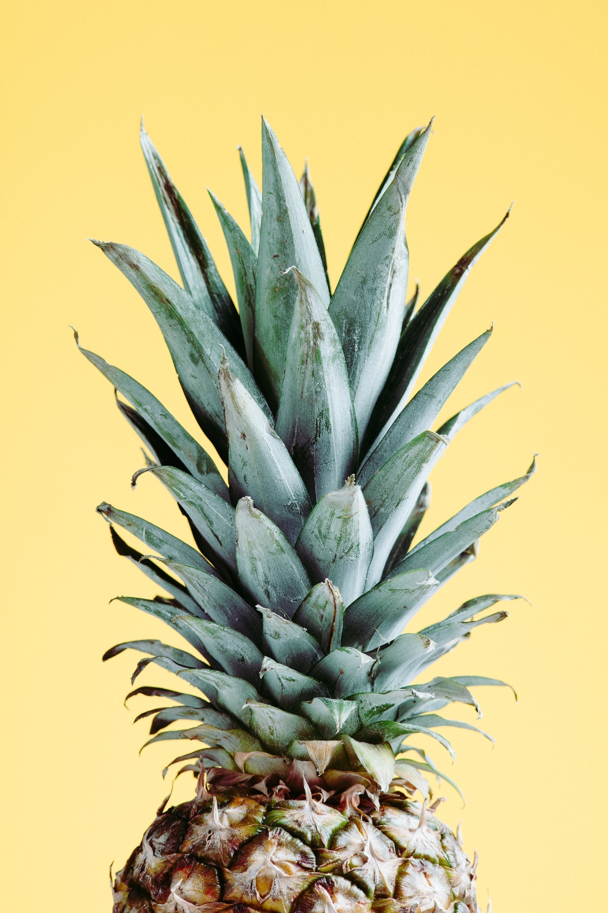 Food & Drink Art Prints for Kitchens