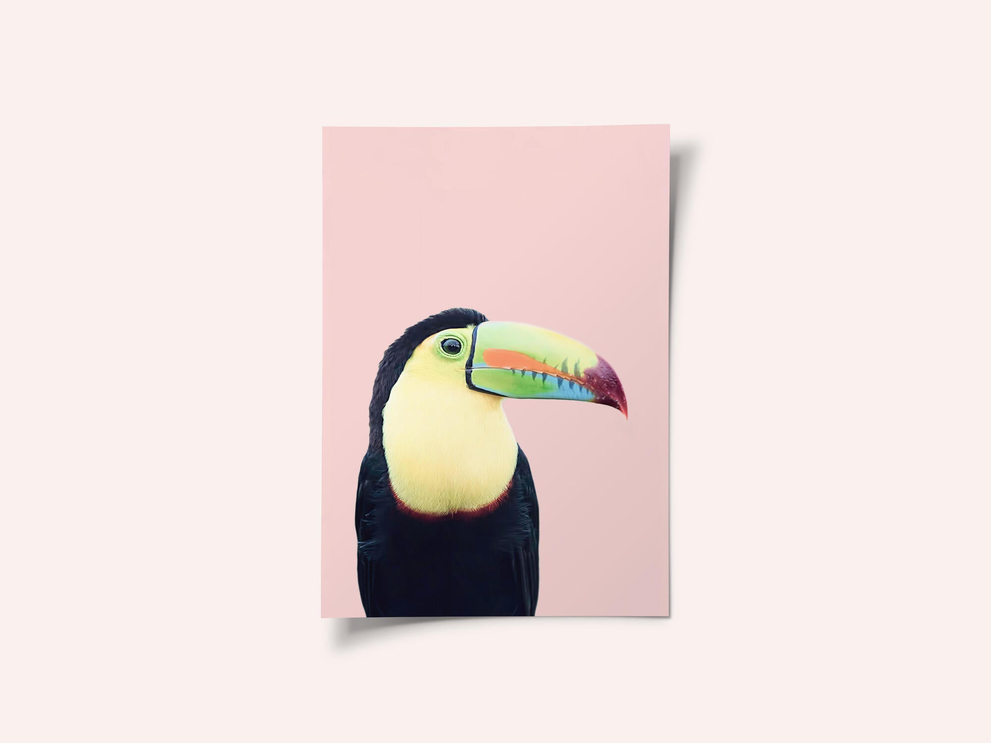 Animals