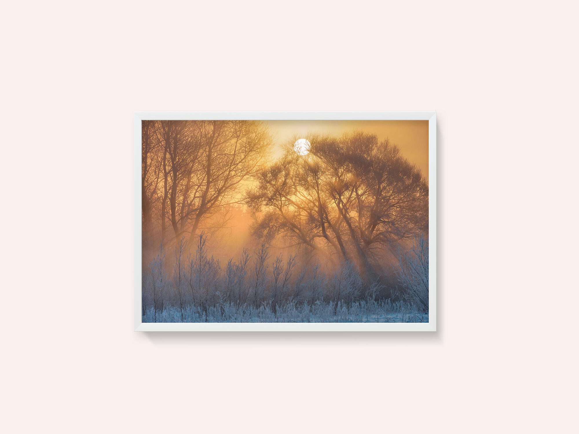 warm and cold