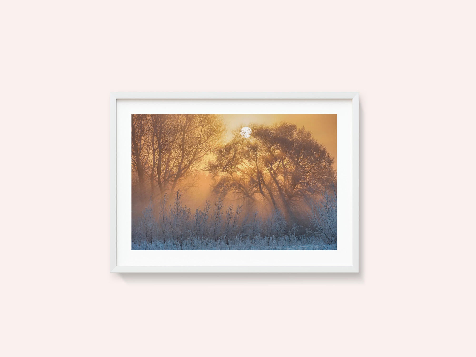 warm and cold