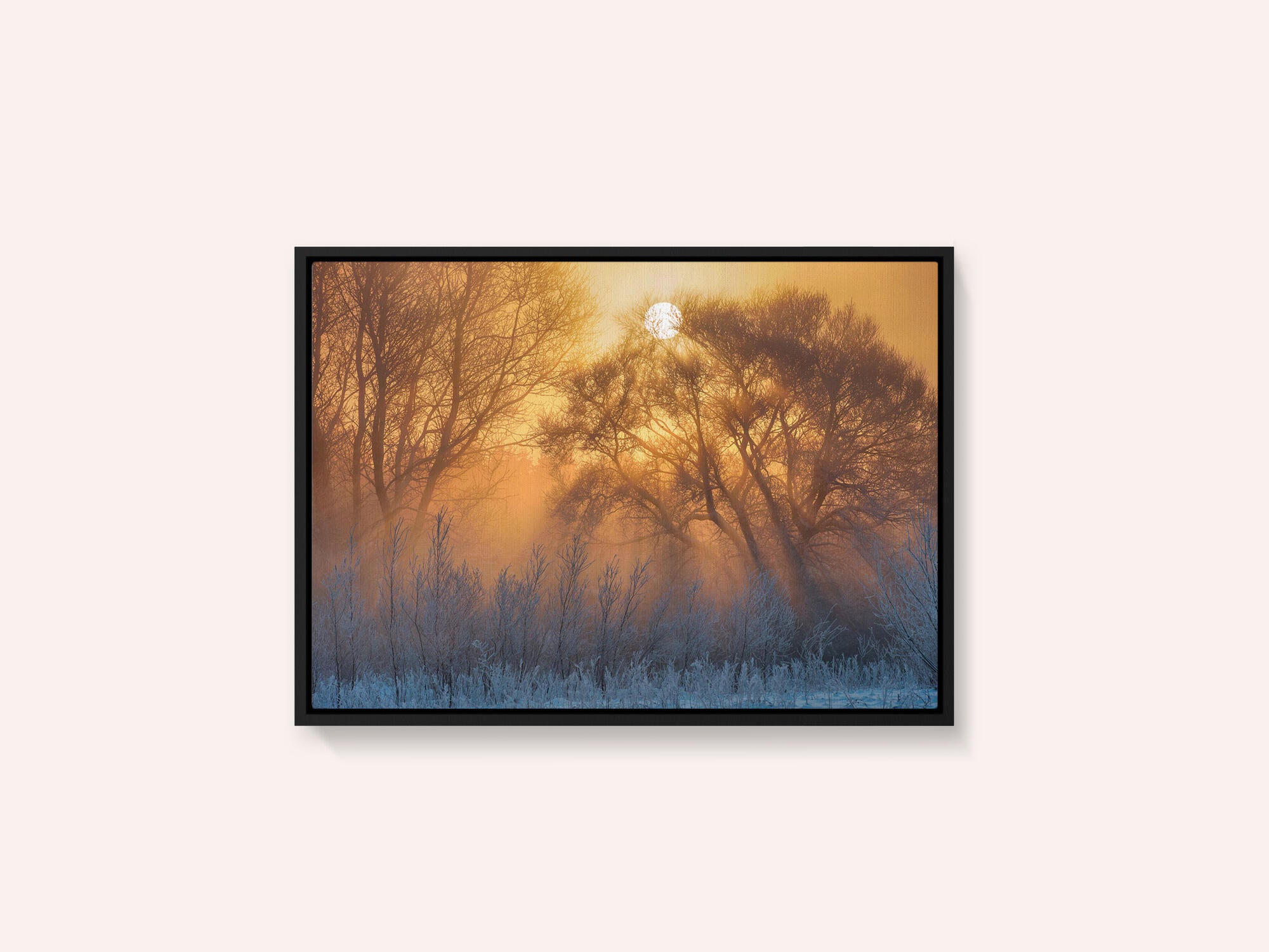 warm and cold