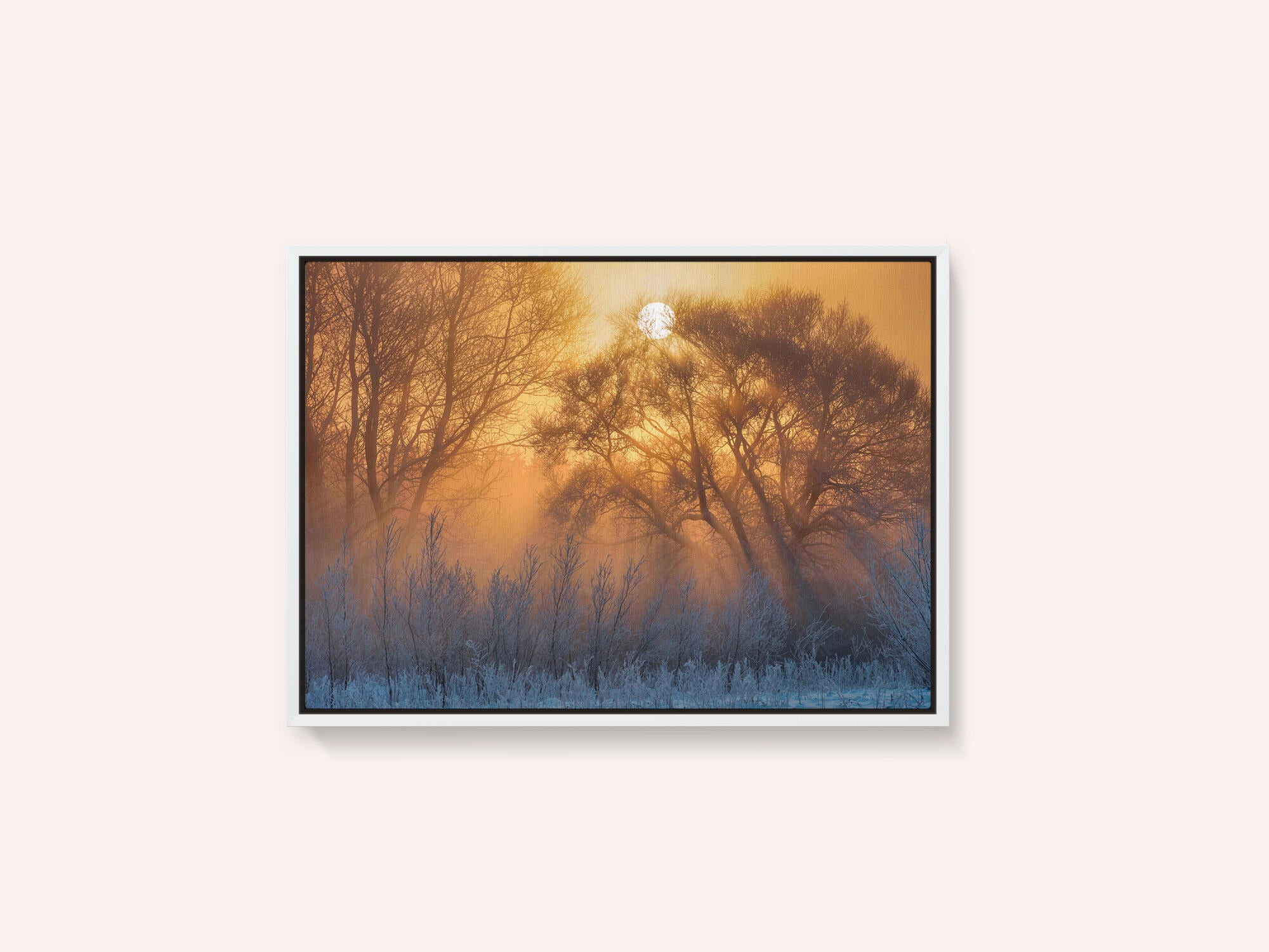 warm and cold