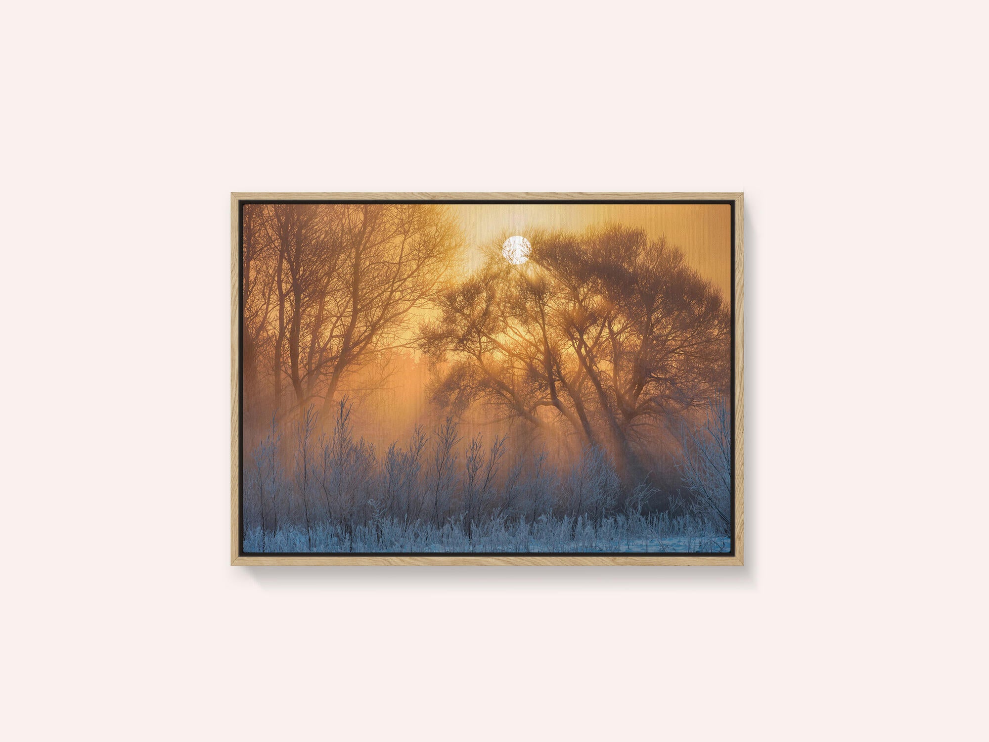 warm and cold