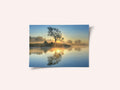 Morning reflection