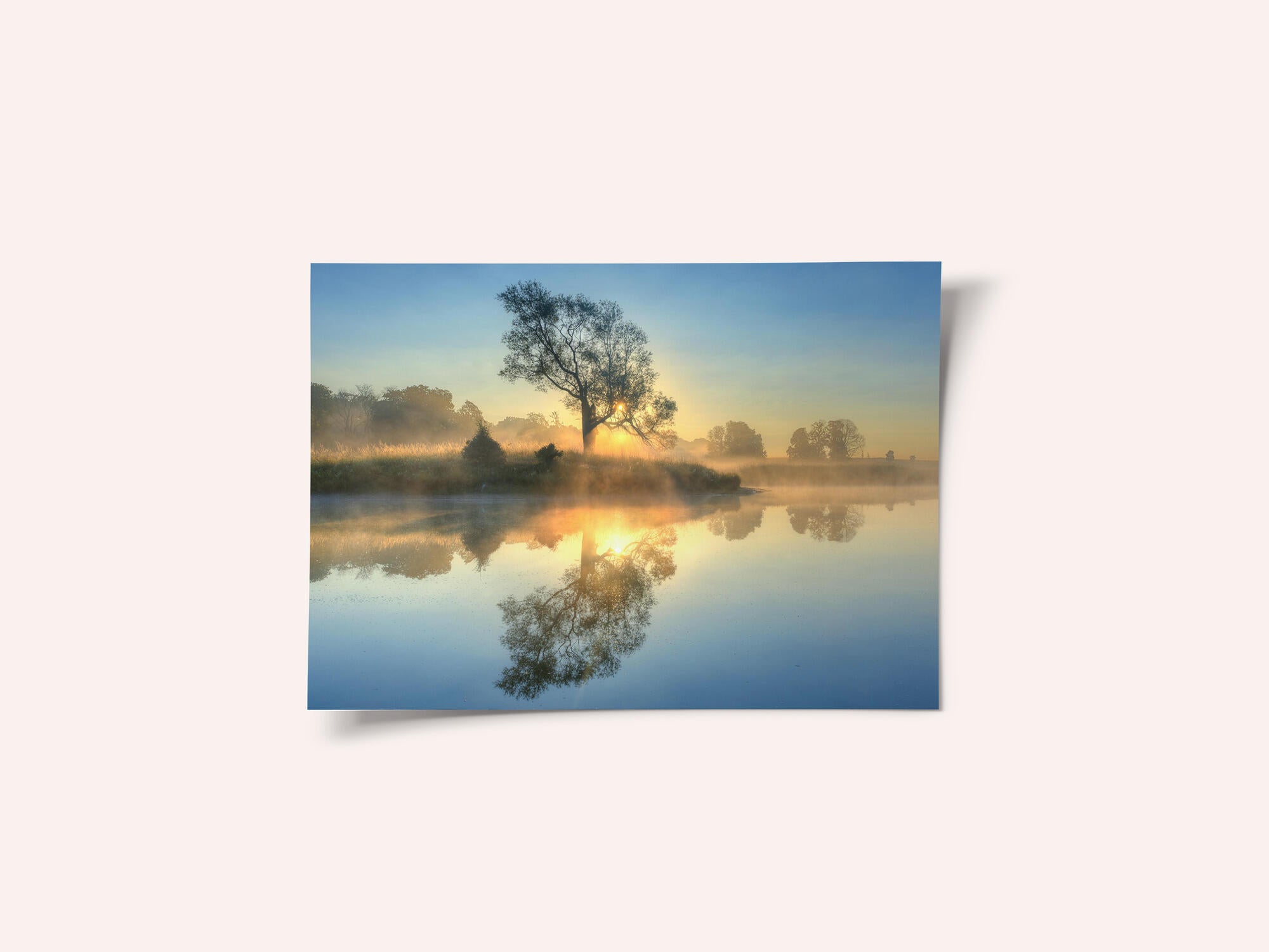 Morning reflection