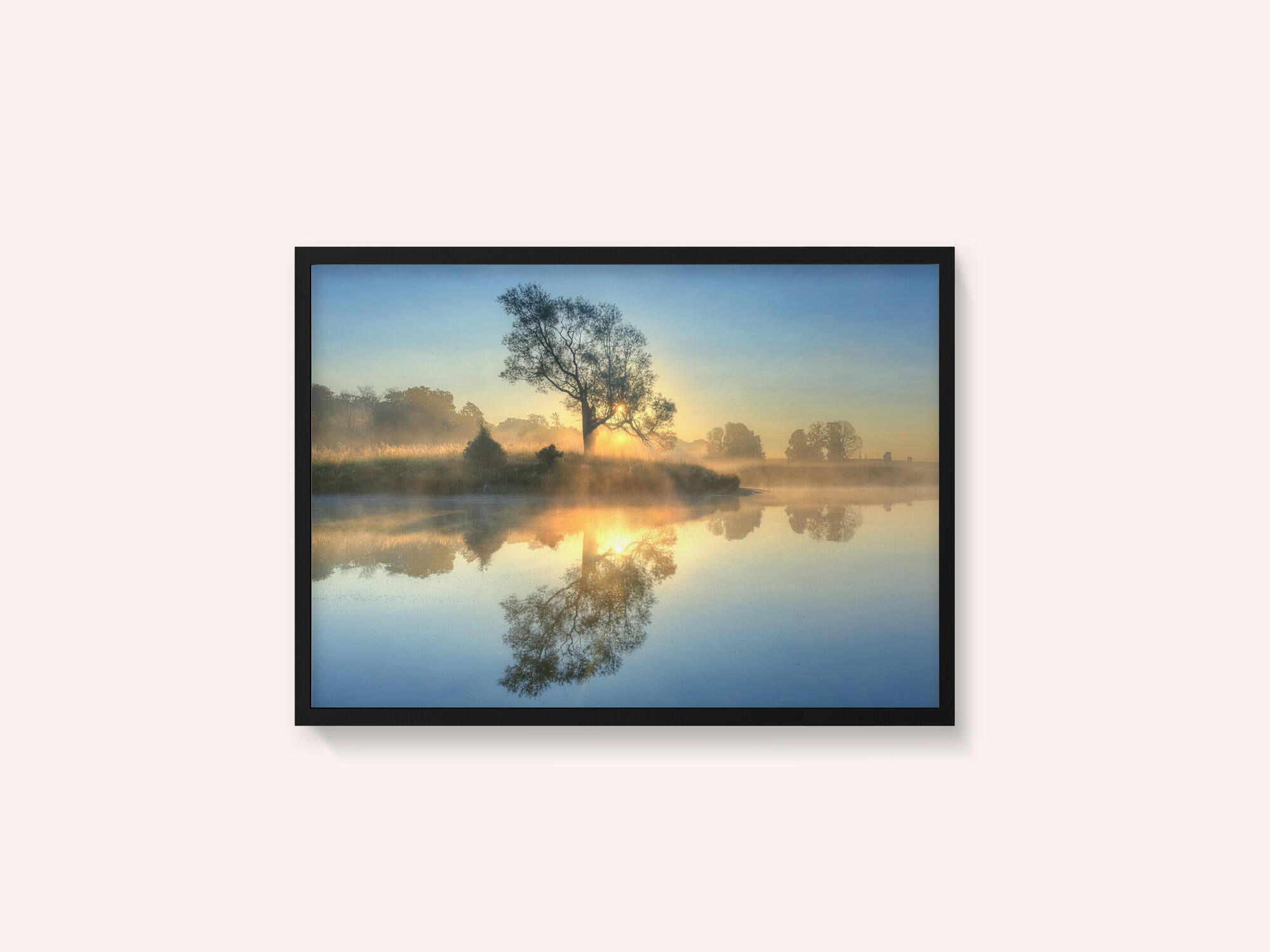 Morning reflection