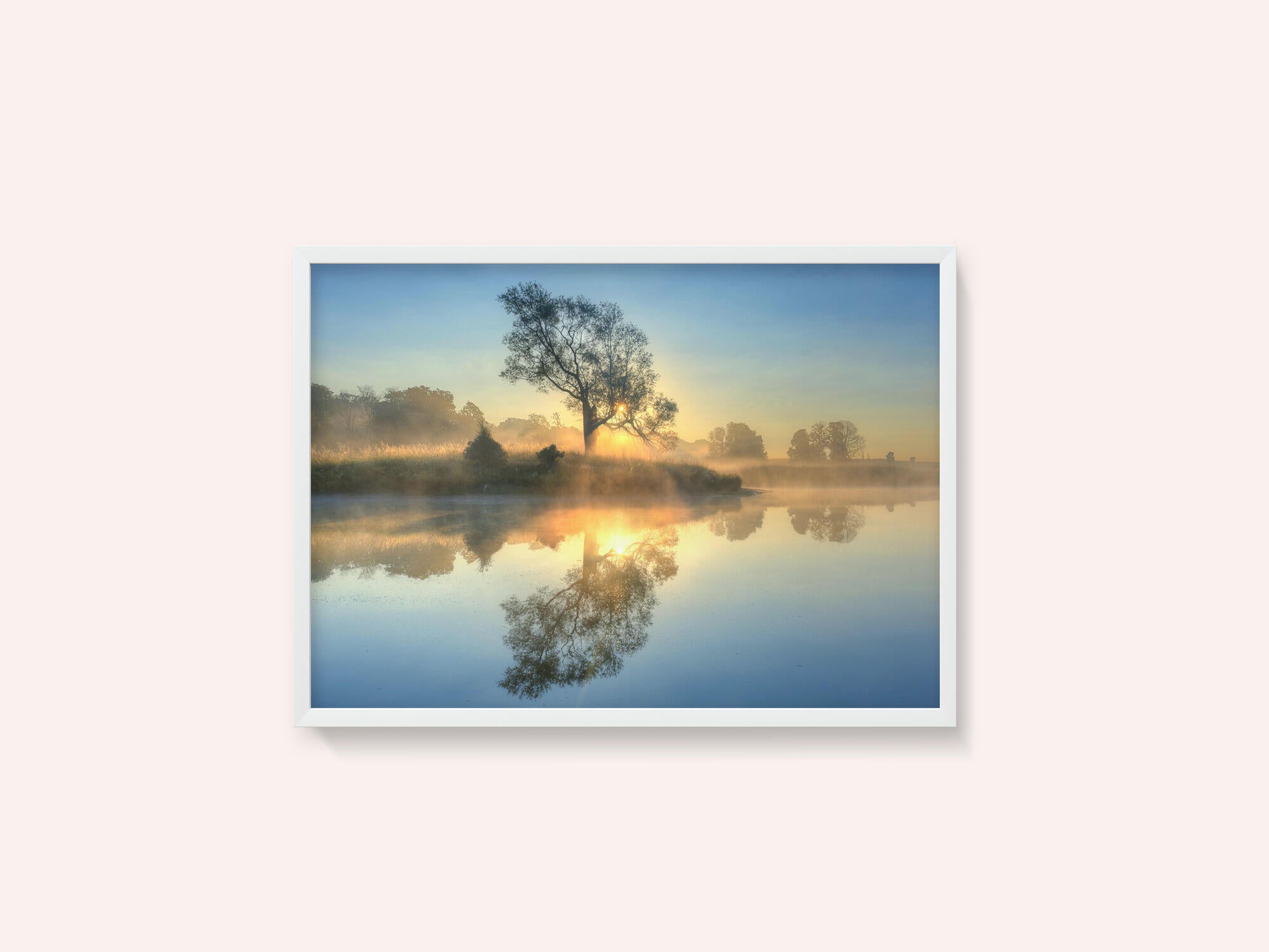 Morning reflection