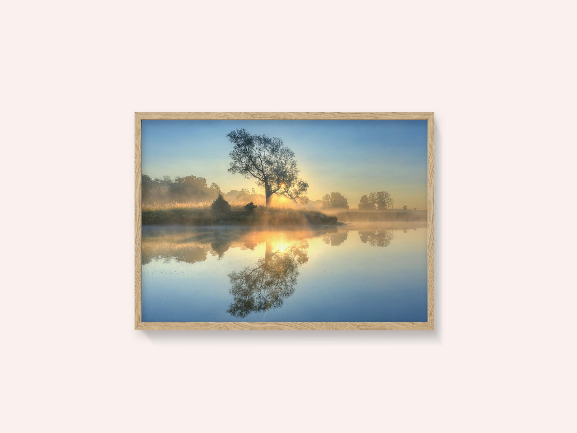 Morning reflection