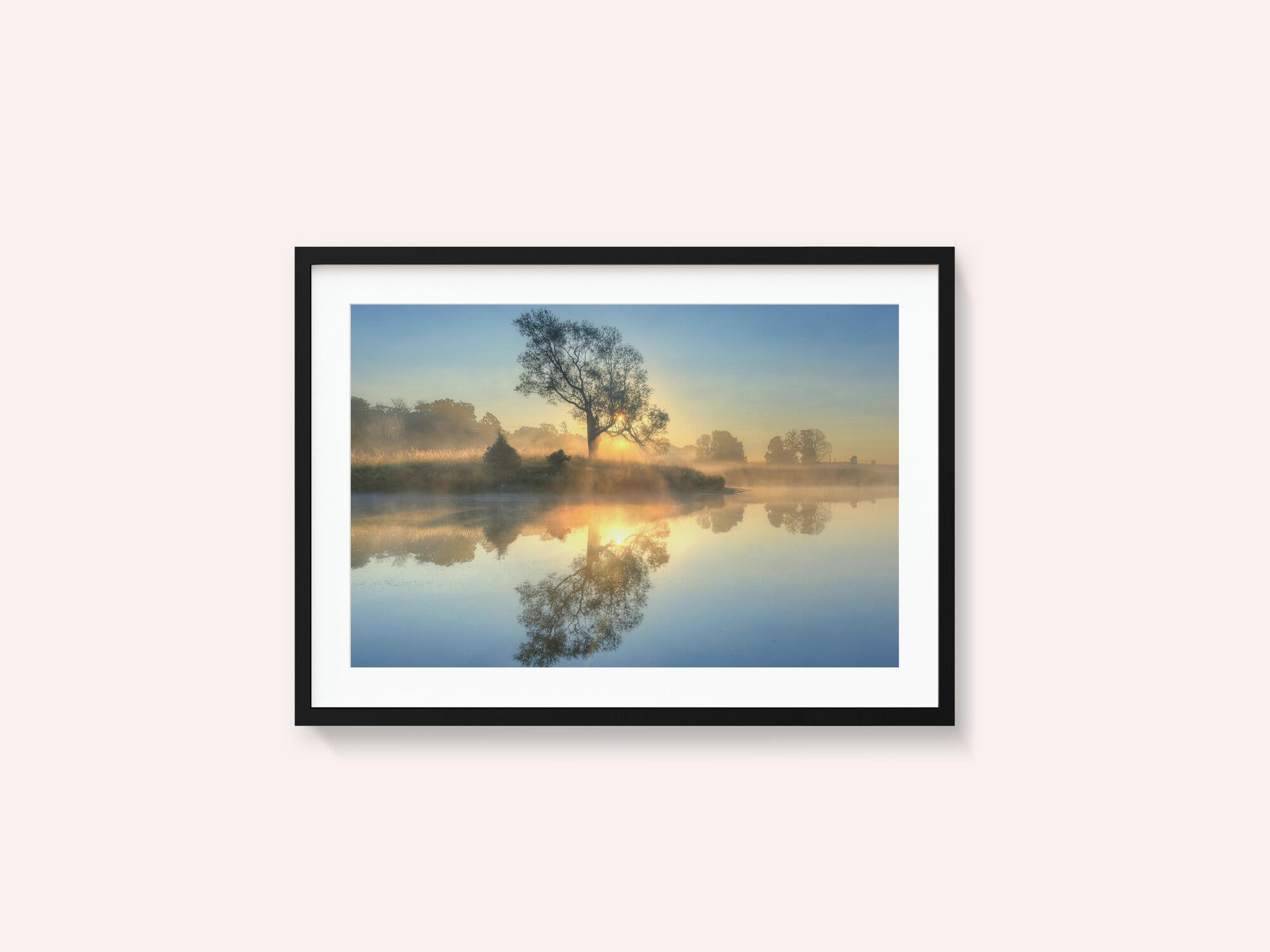 Morning reflection