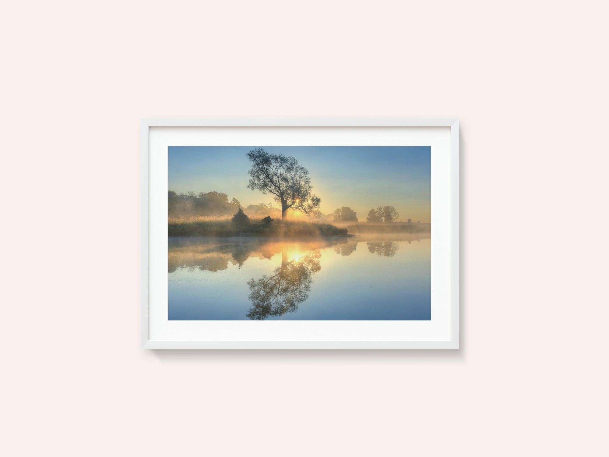 Morning reflection