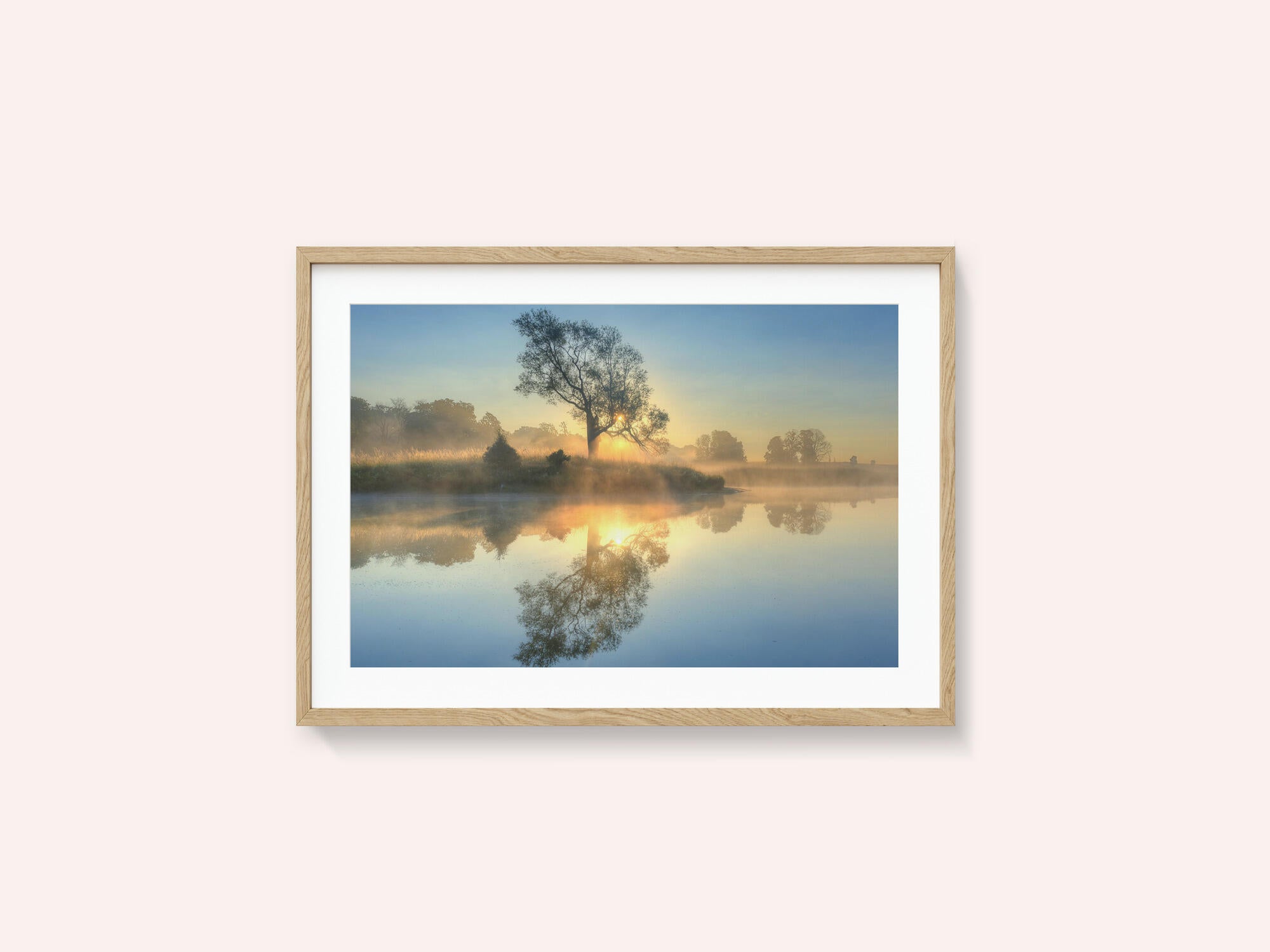 Morning reflection