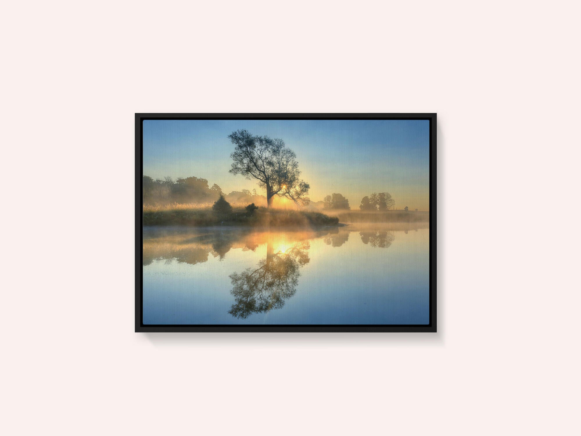 Morning reflection
