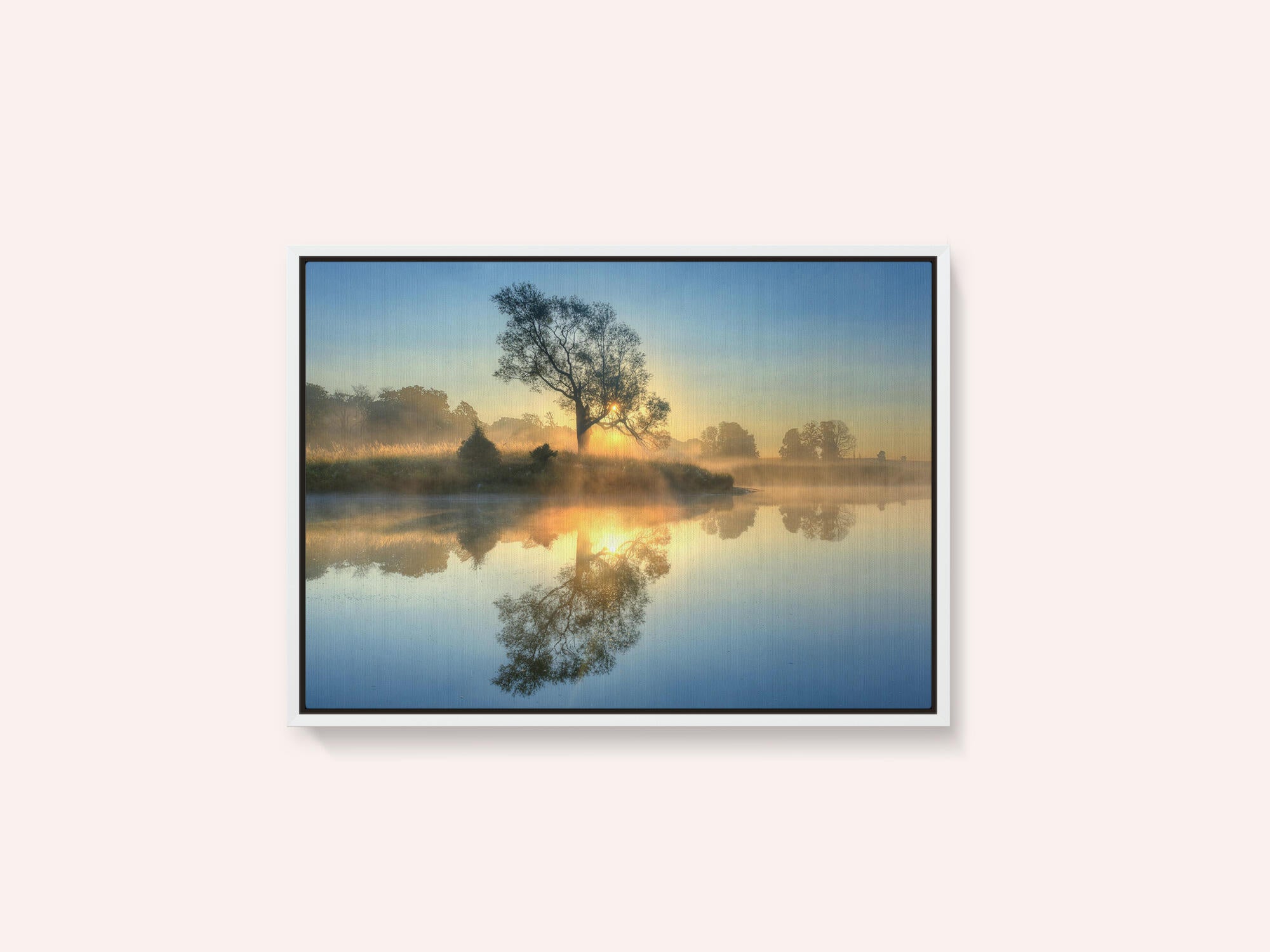 Morning reflection