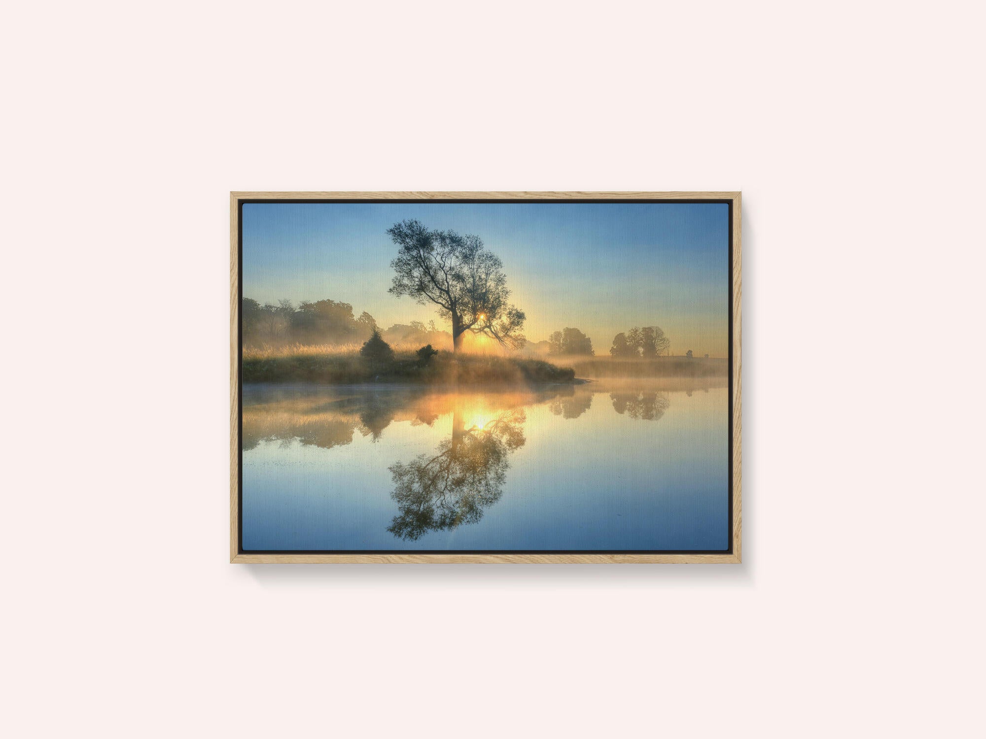 Morning reflection
