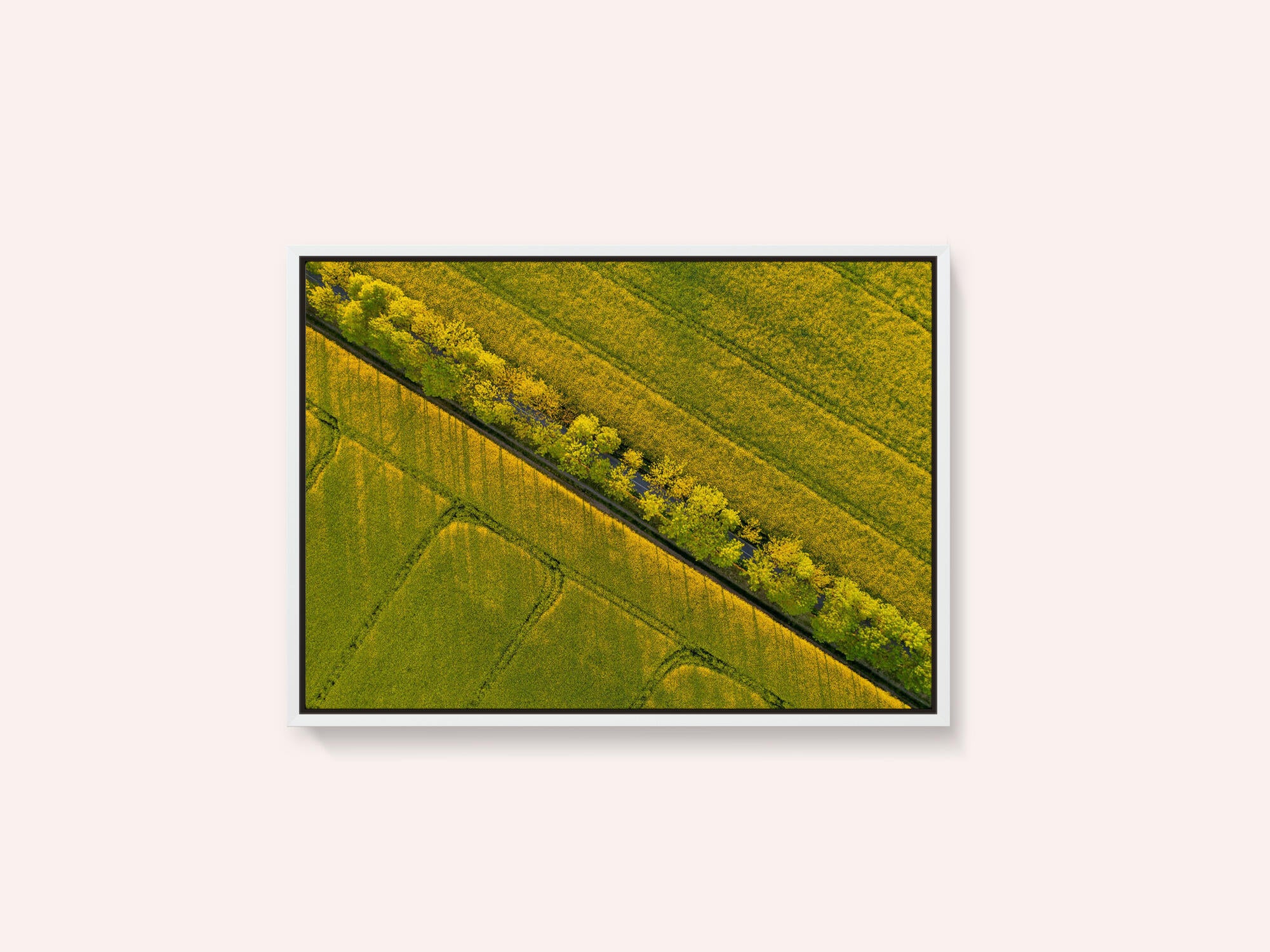 Through the fields