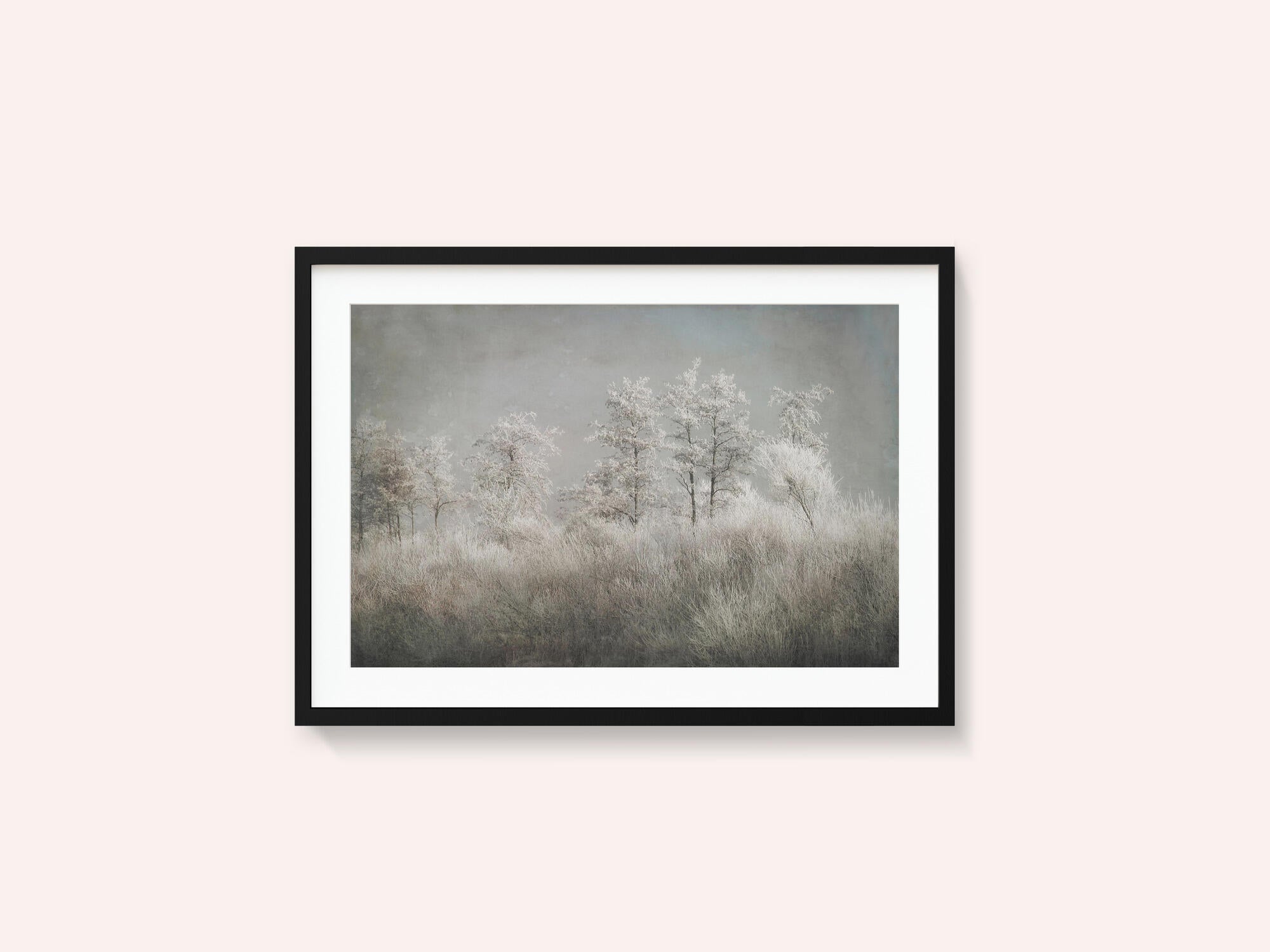 Cold morning