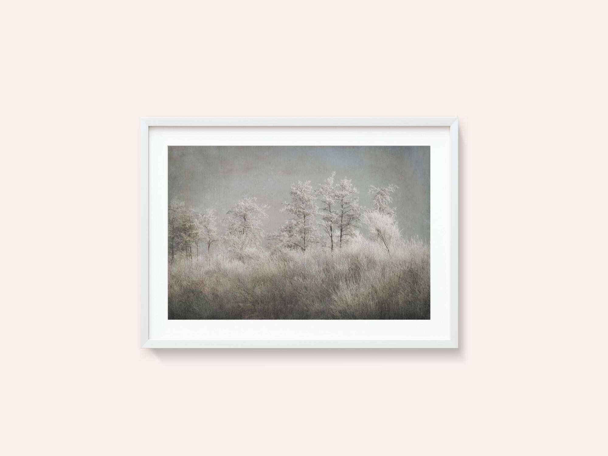 Cold morning