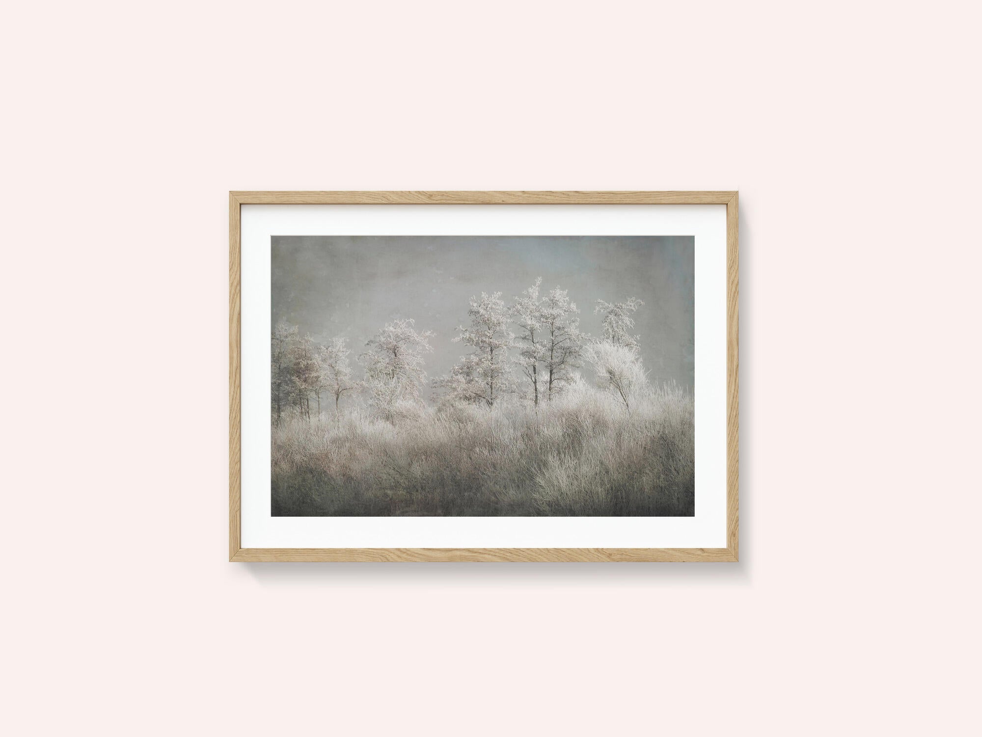 Cold morning