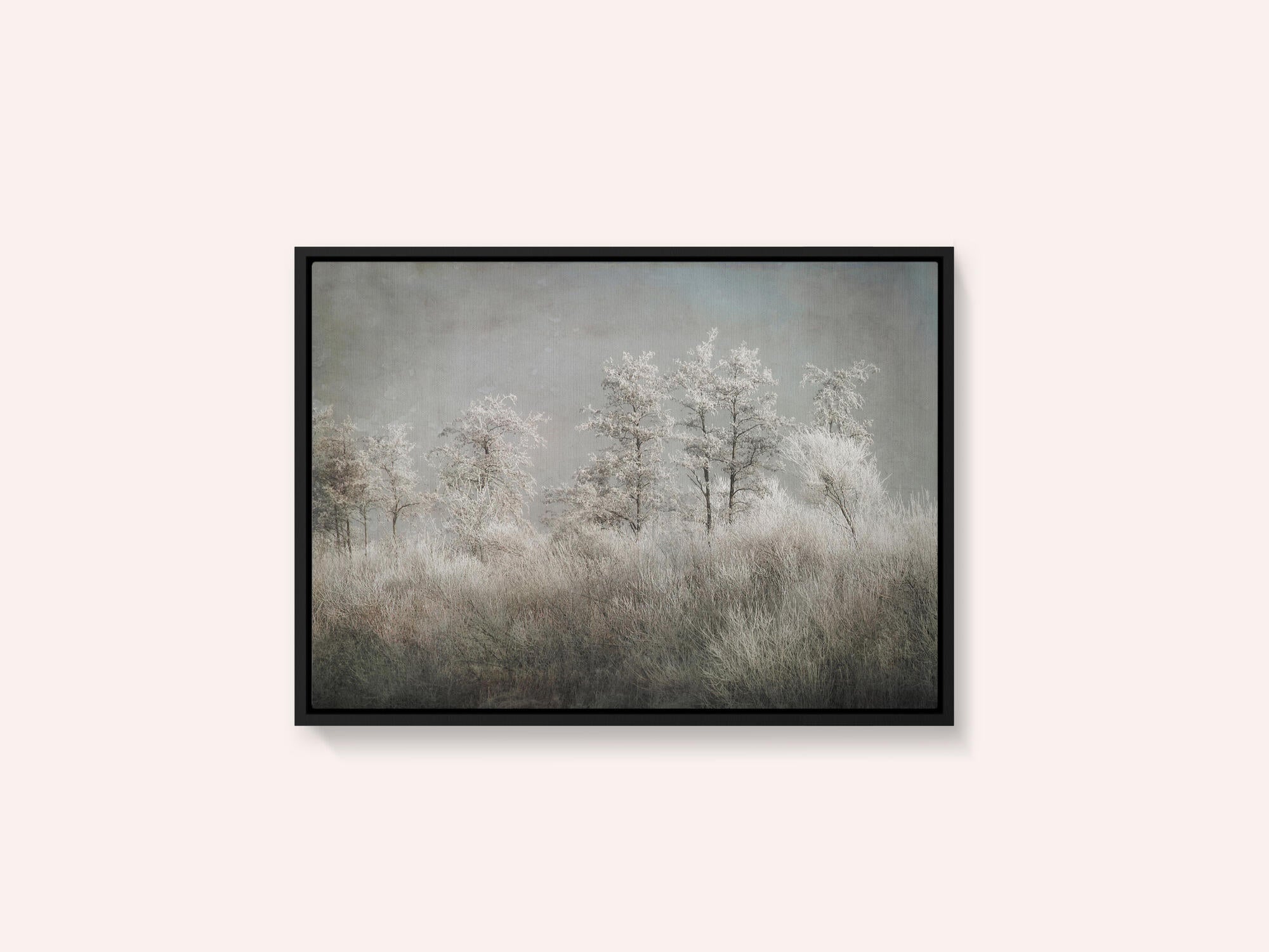 Cold morning