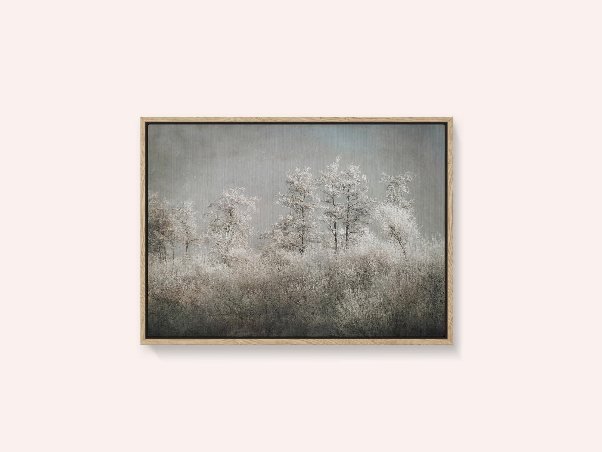 Cold morning