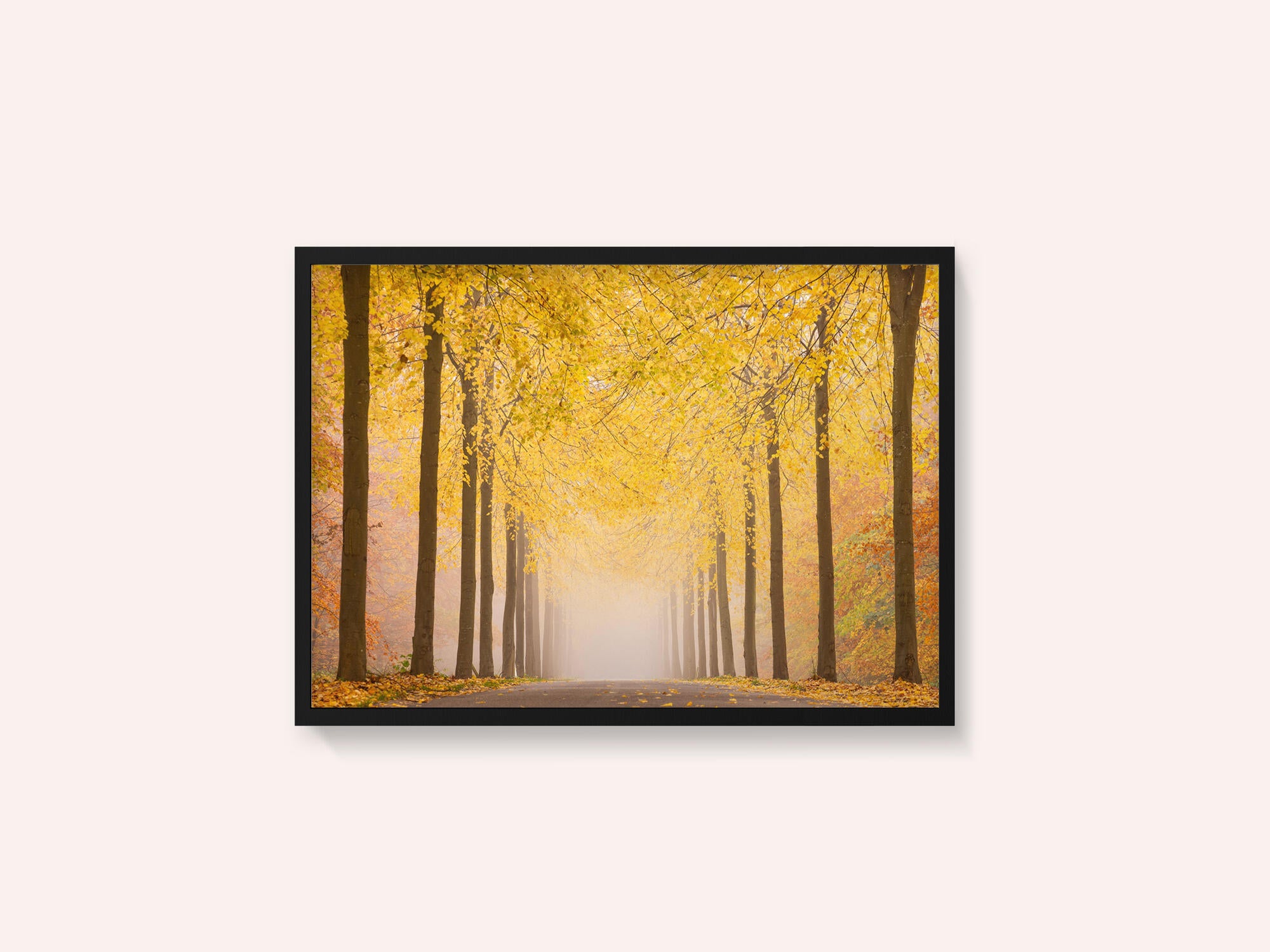Autumn road