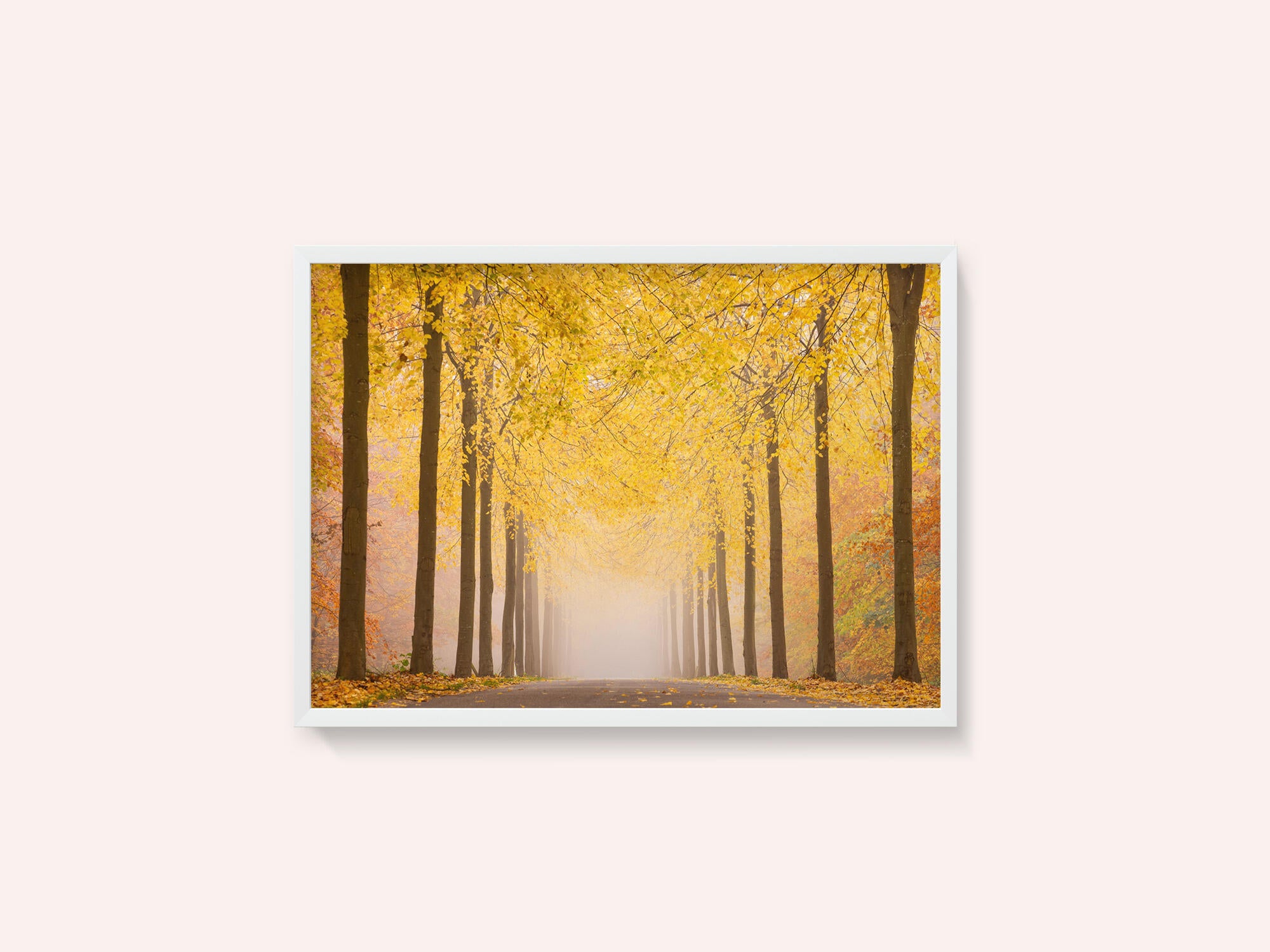 Autumn road