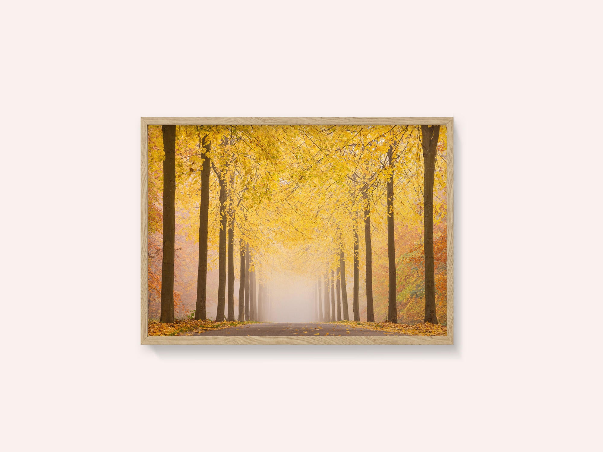 Autumn road