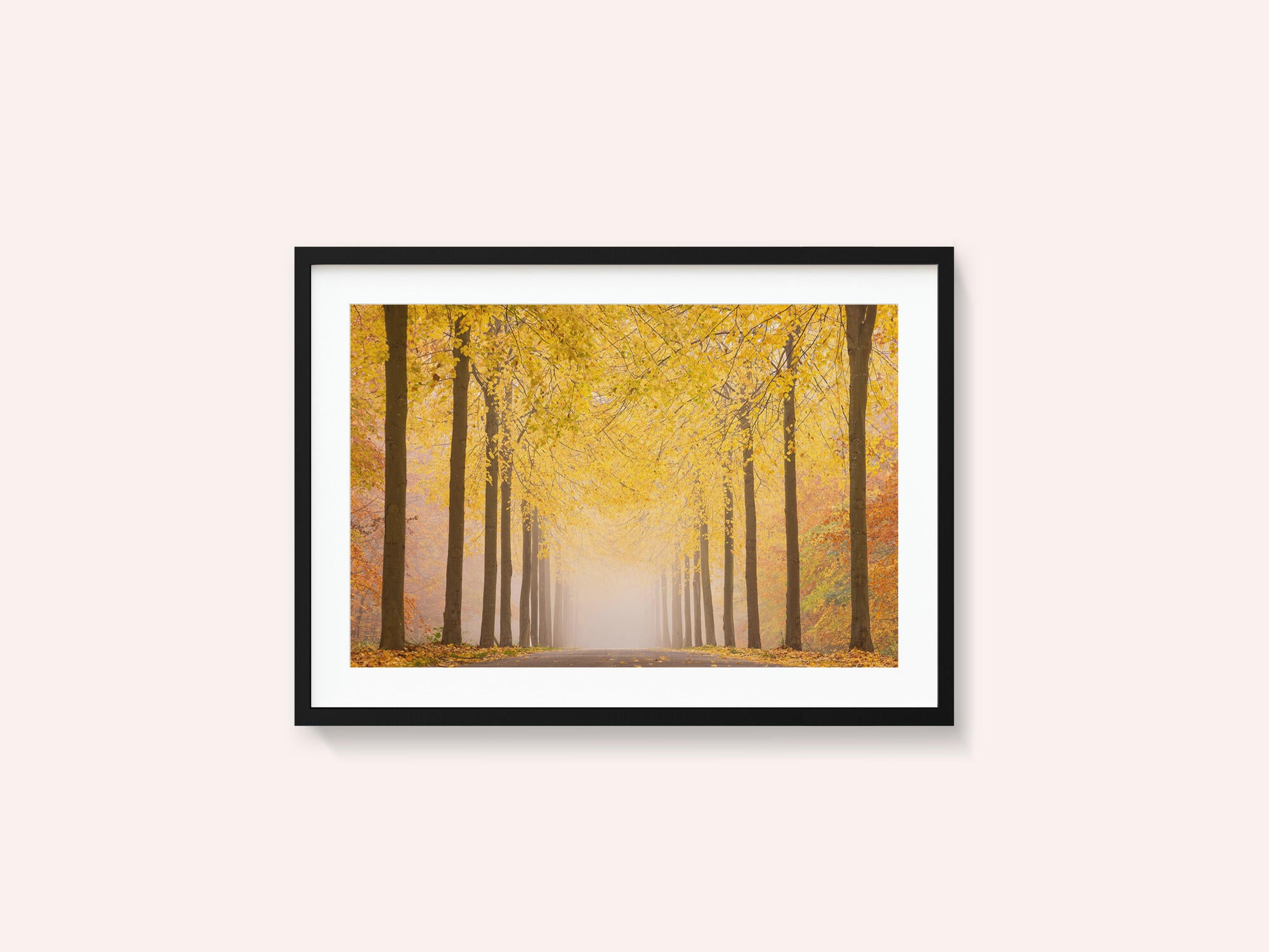 Autumn road