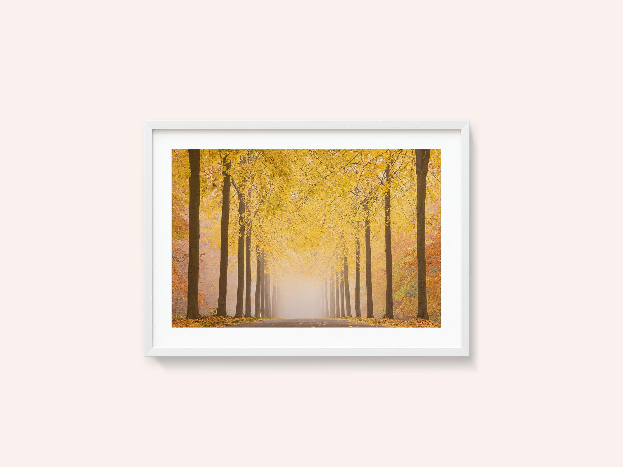 Autumn road