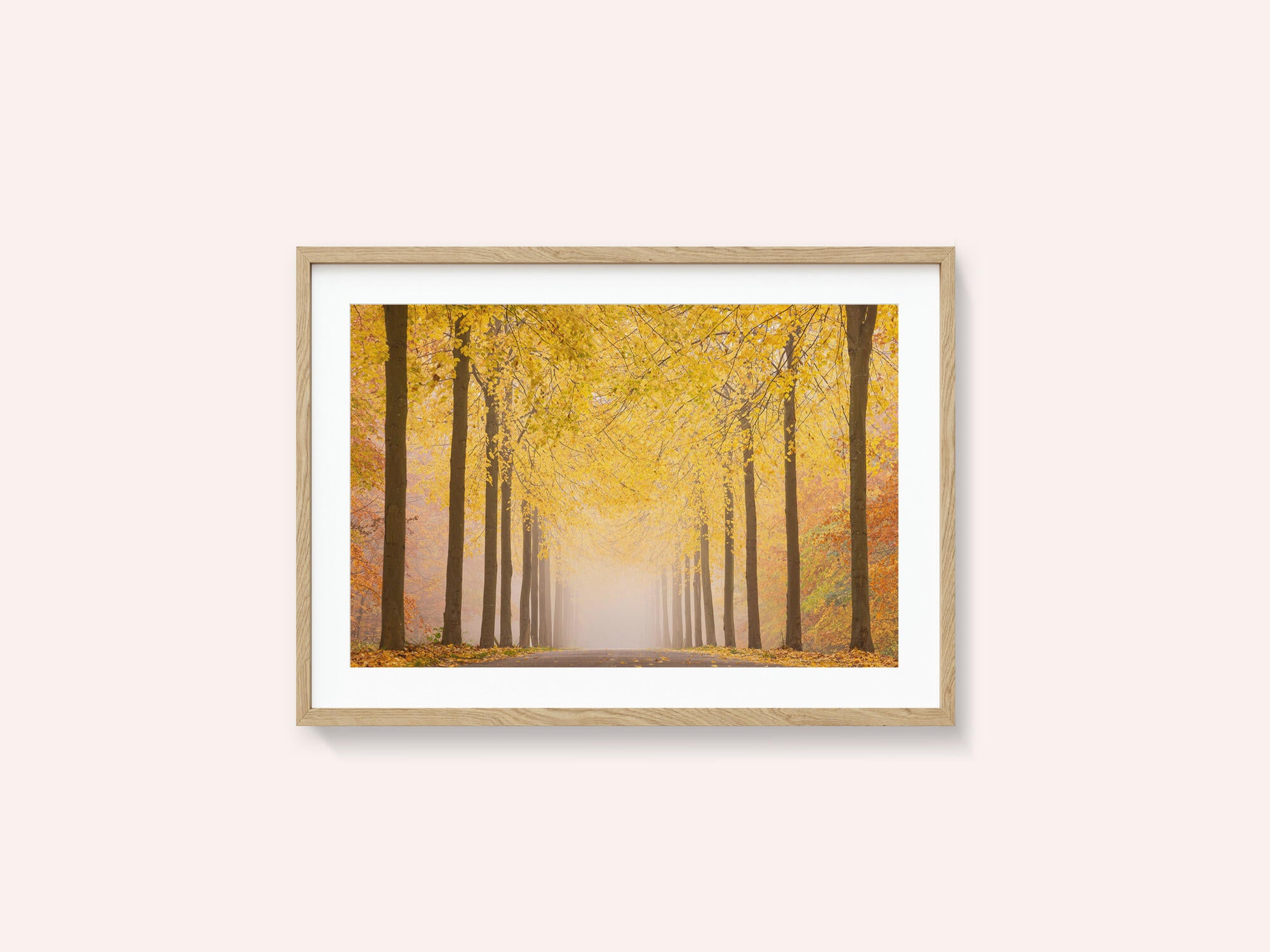 Autumn road
