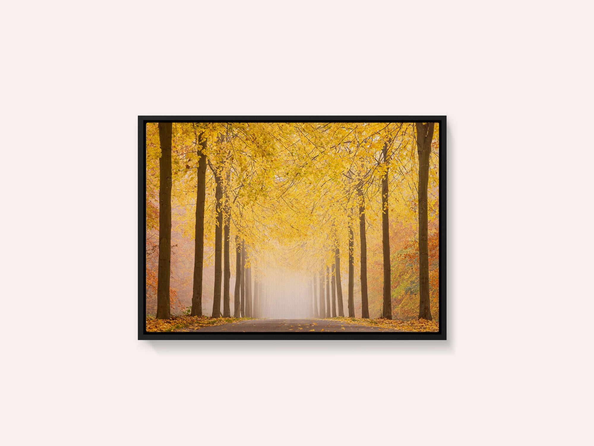 Autumn road