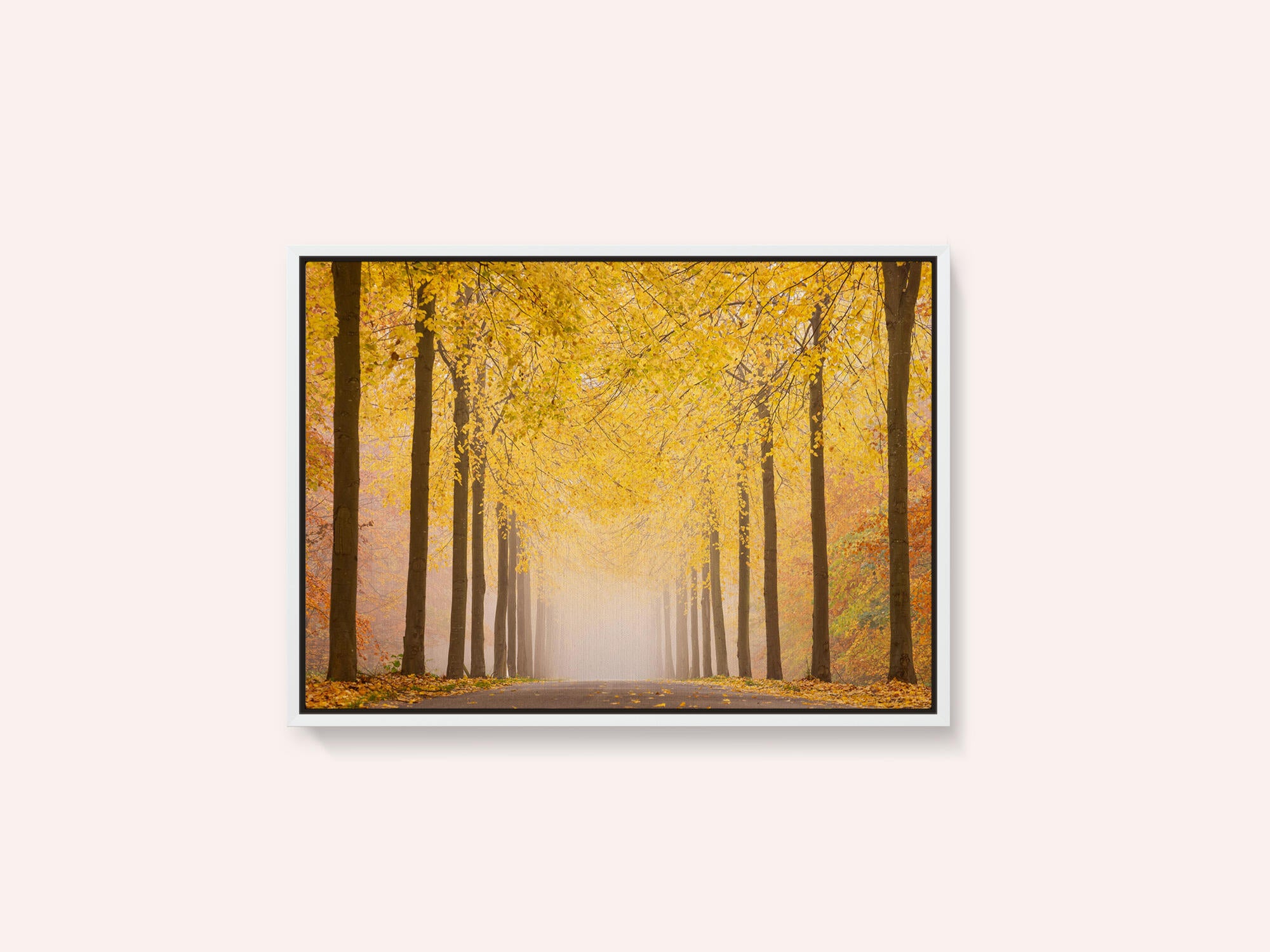 Autumn road