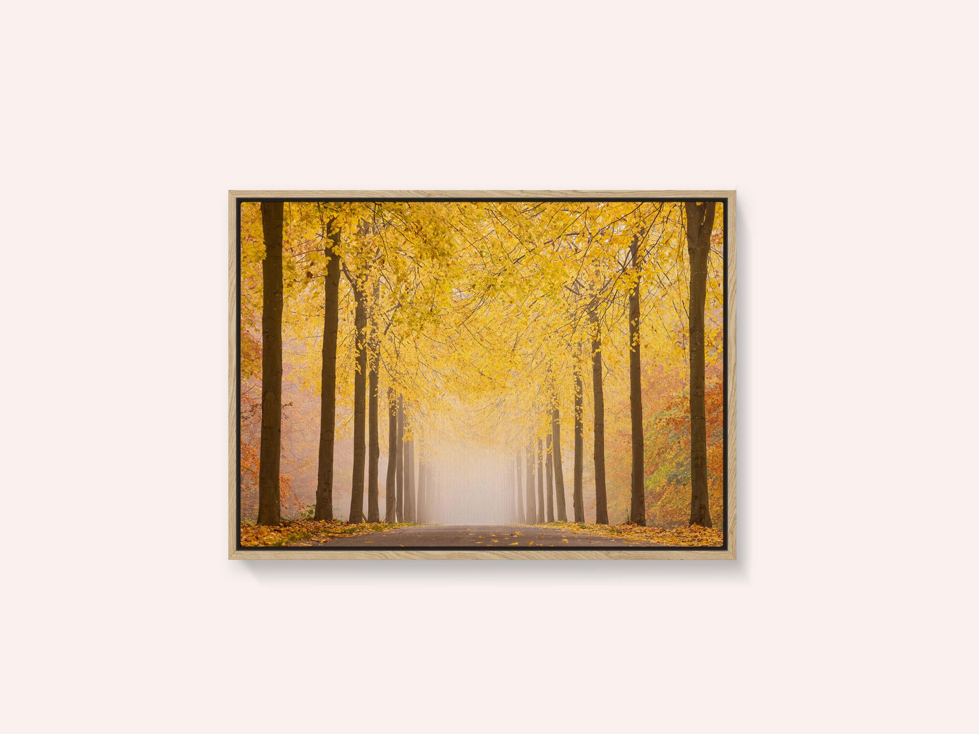 Autumn road