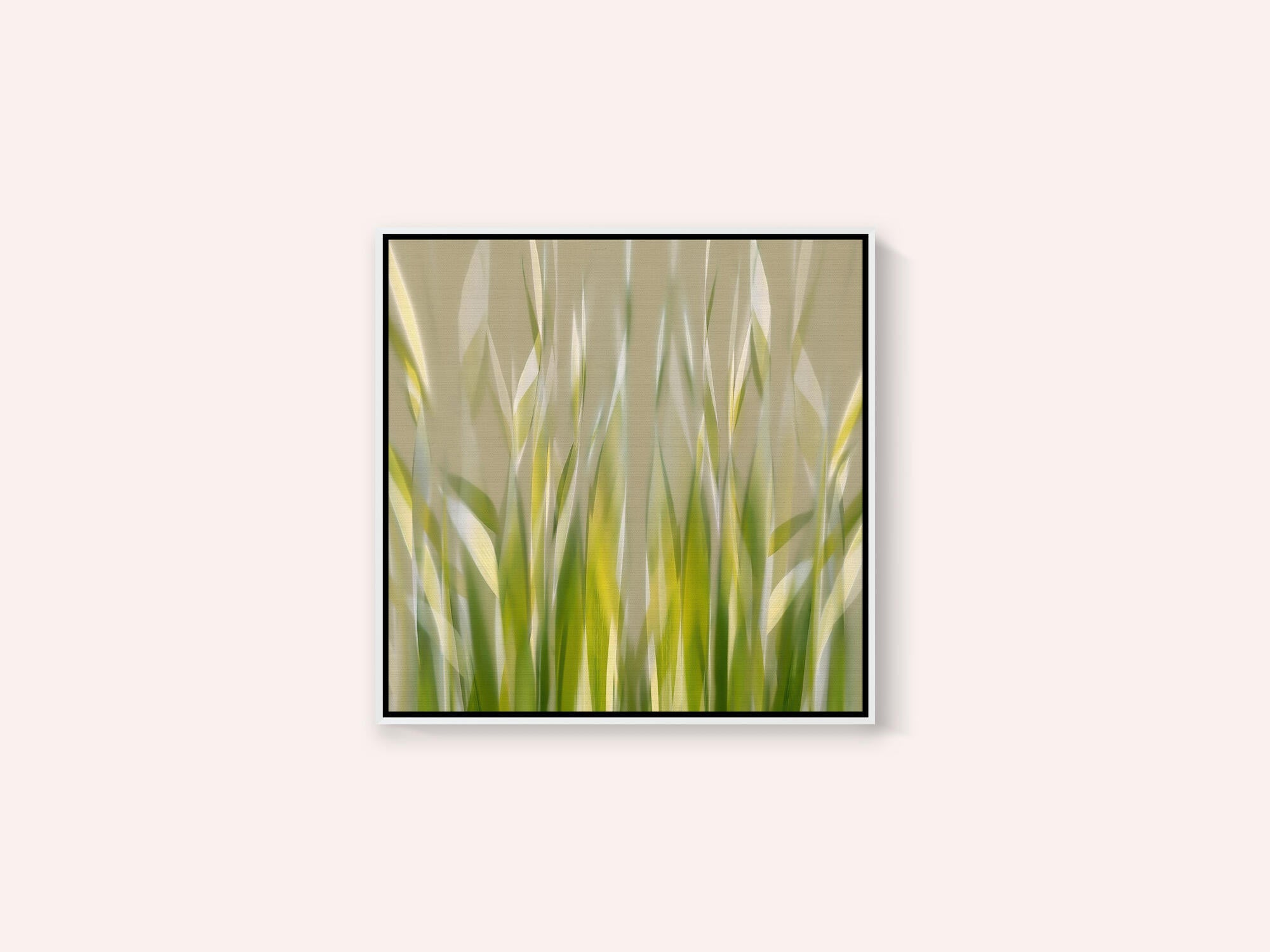Dancing reed