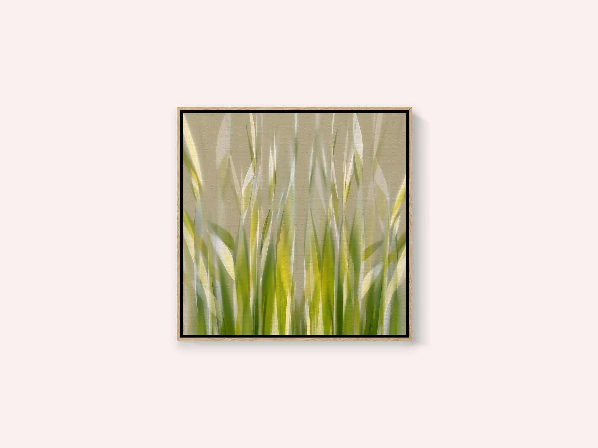 Dancing reed