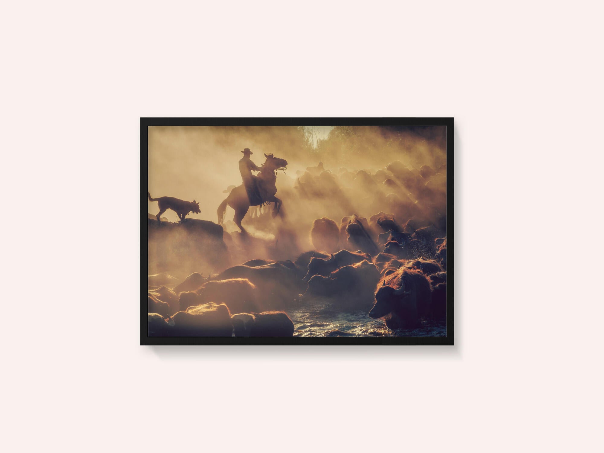 The buffalo shepherd