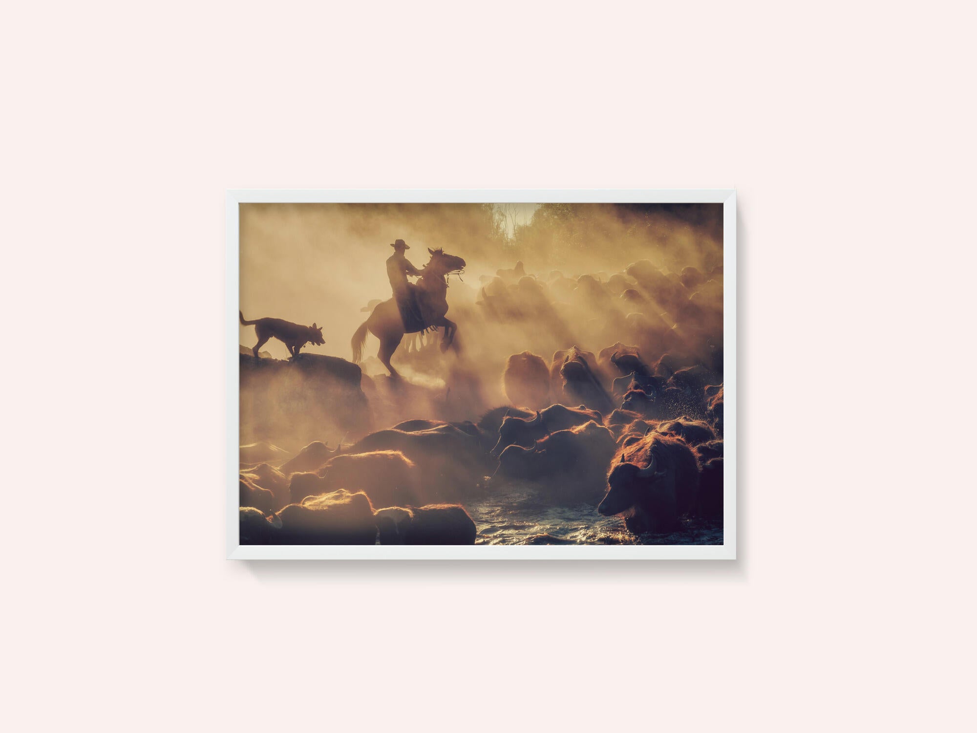 The buffalo shepherd