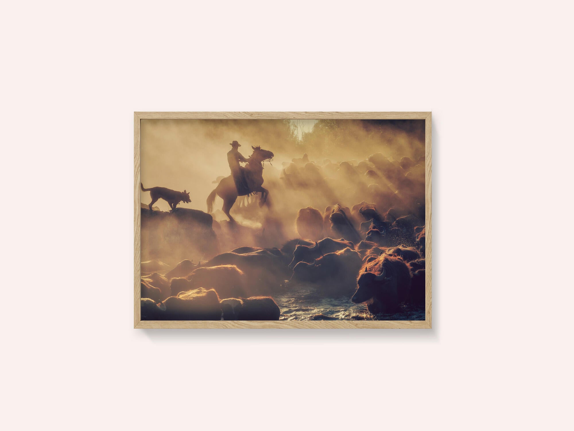 The buffalo shepherd