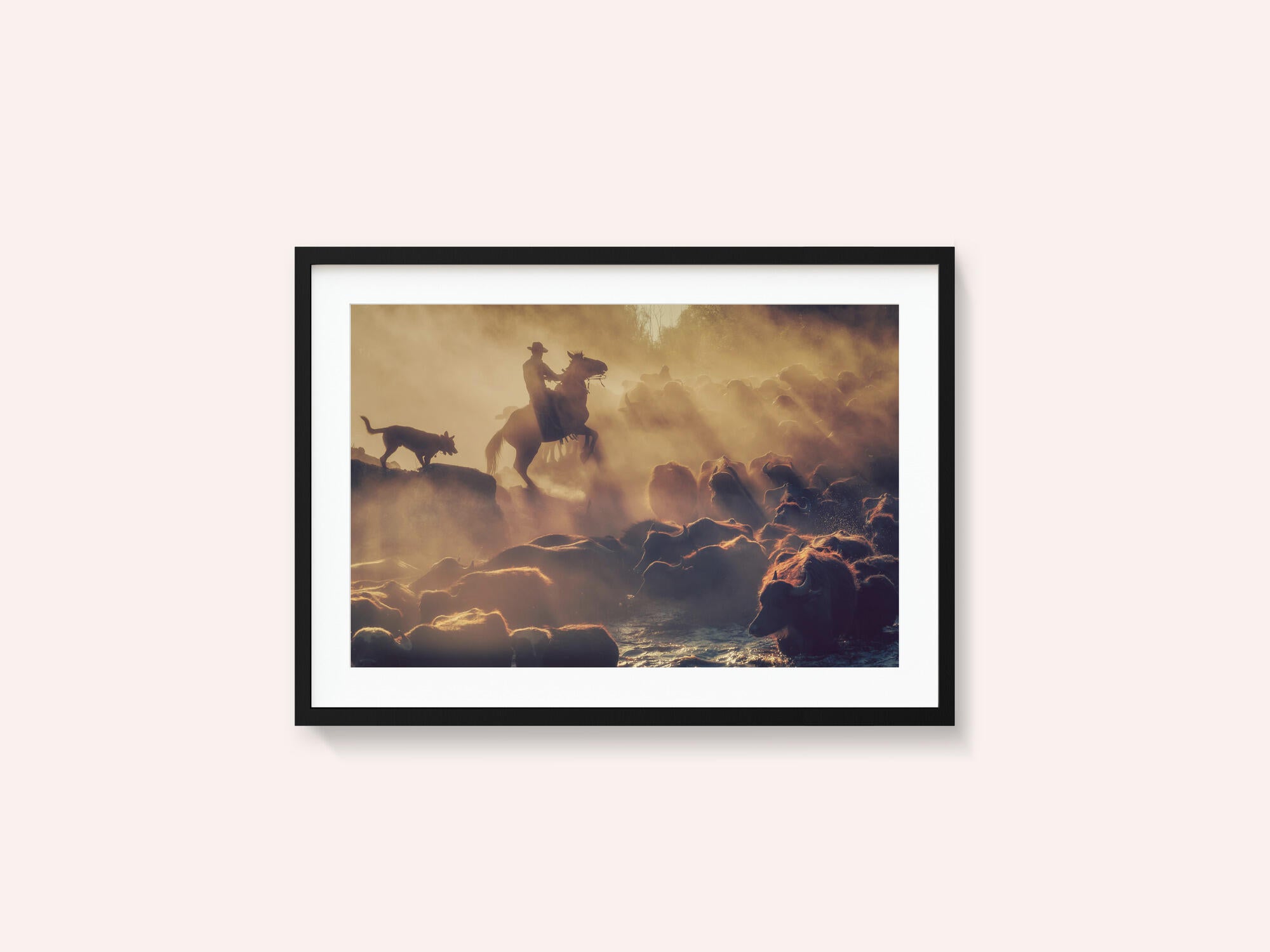 The buffalo shepherd
