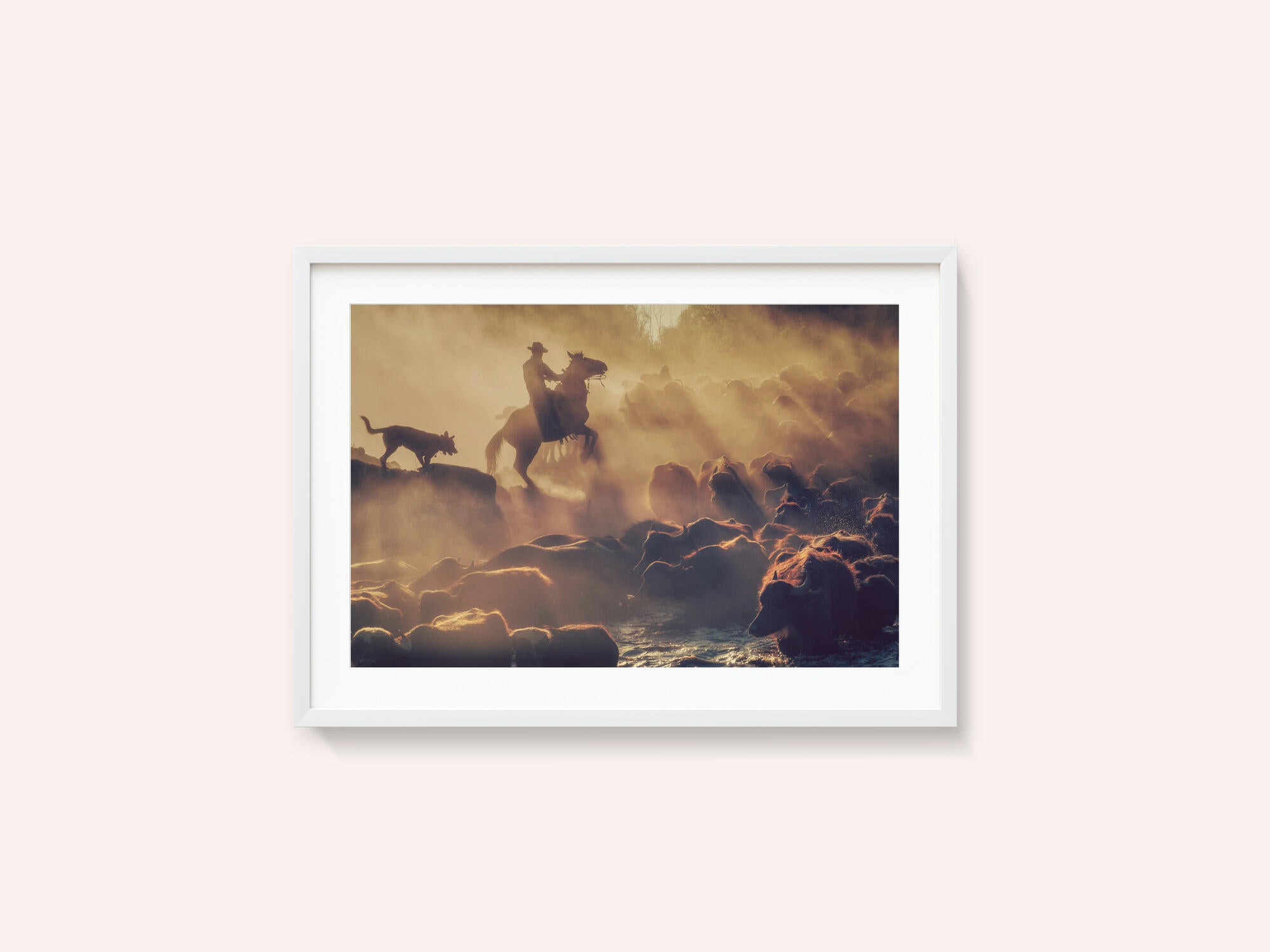The buffalo shepherd