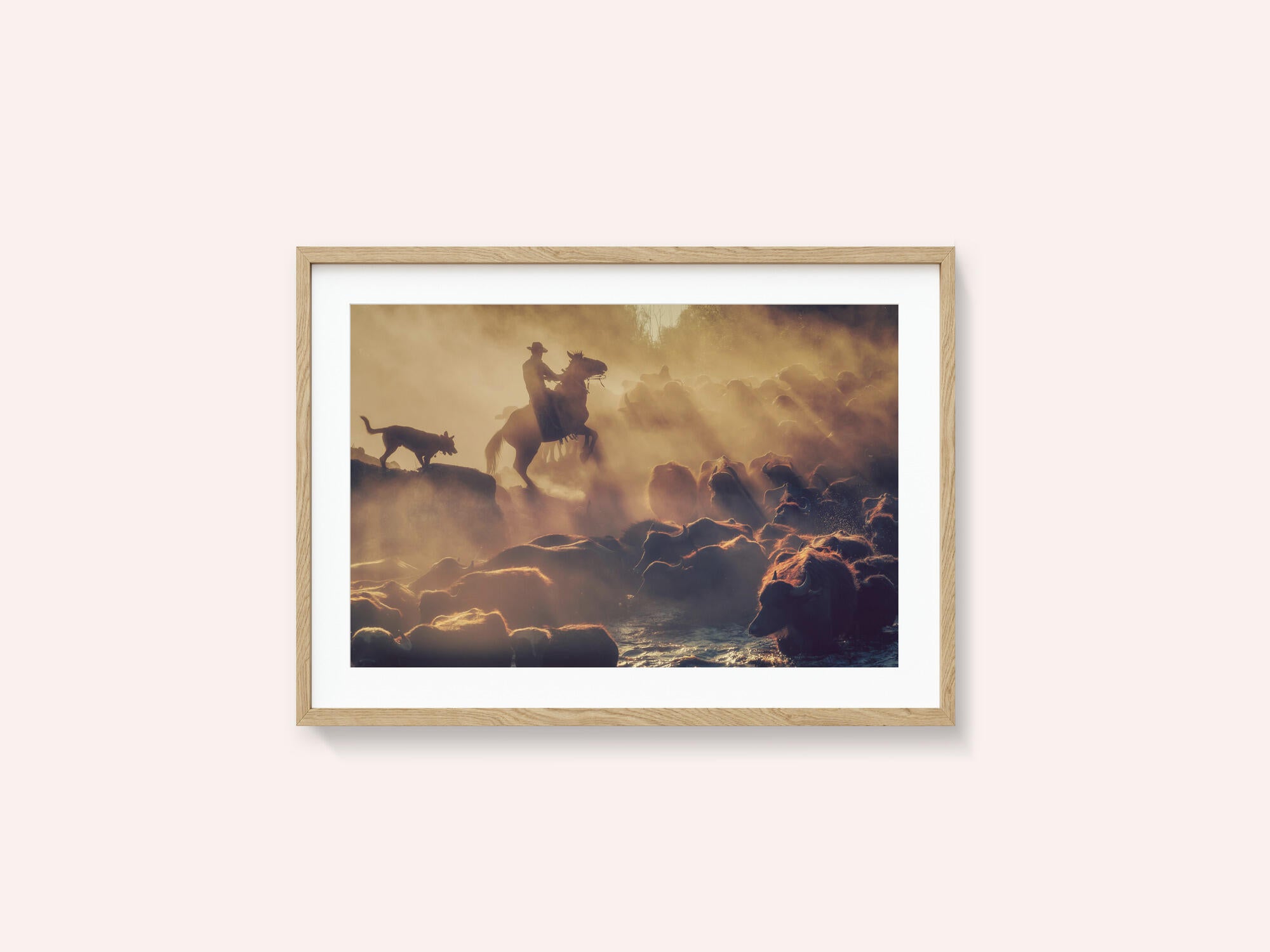 The buffalo shepherd