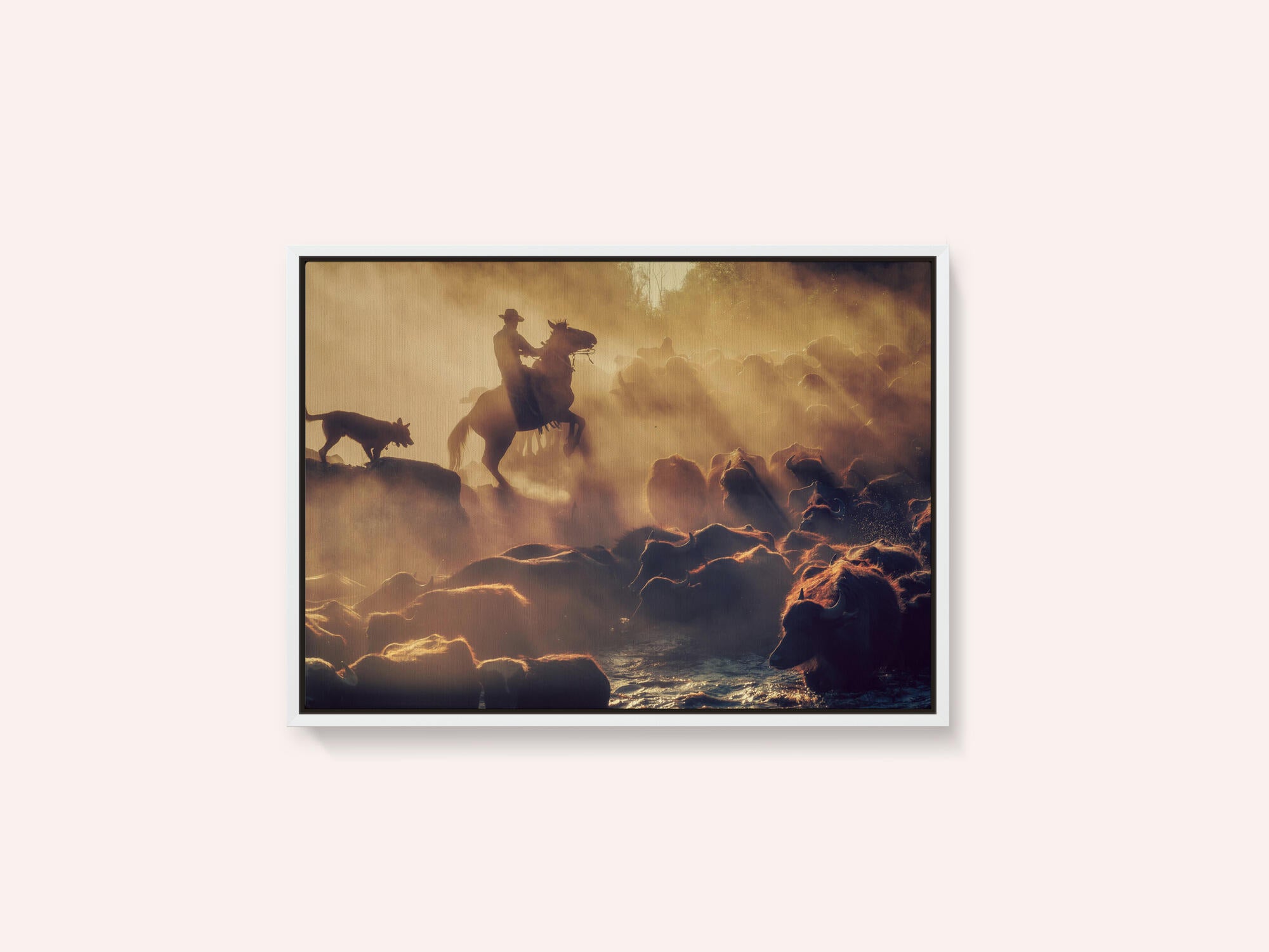The buffalo shepherd
