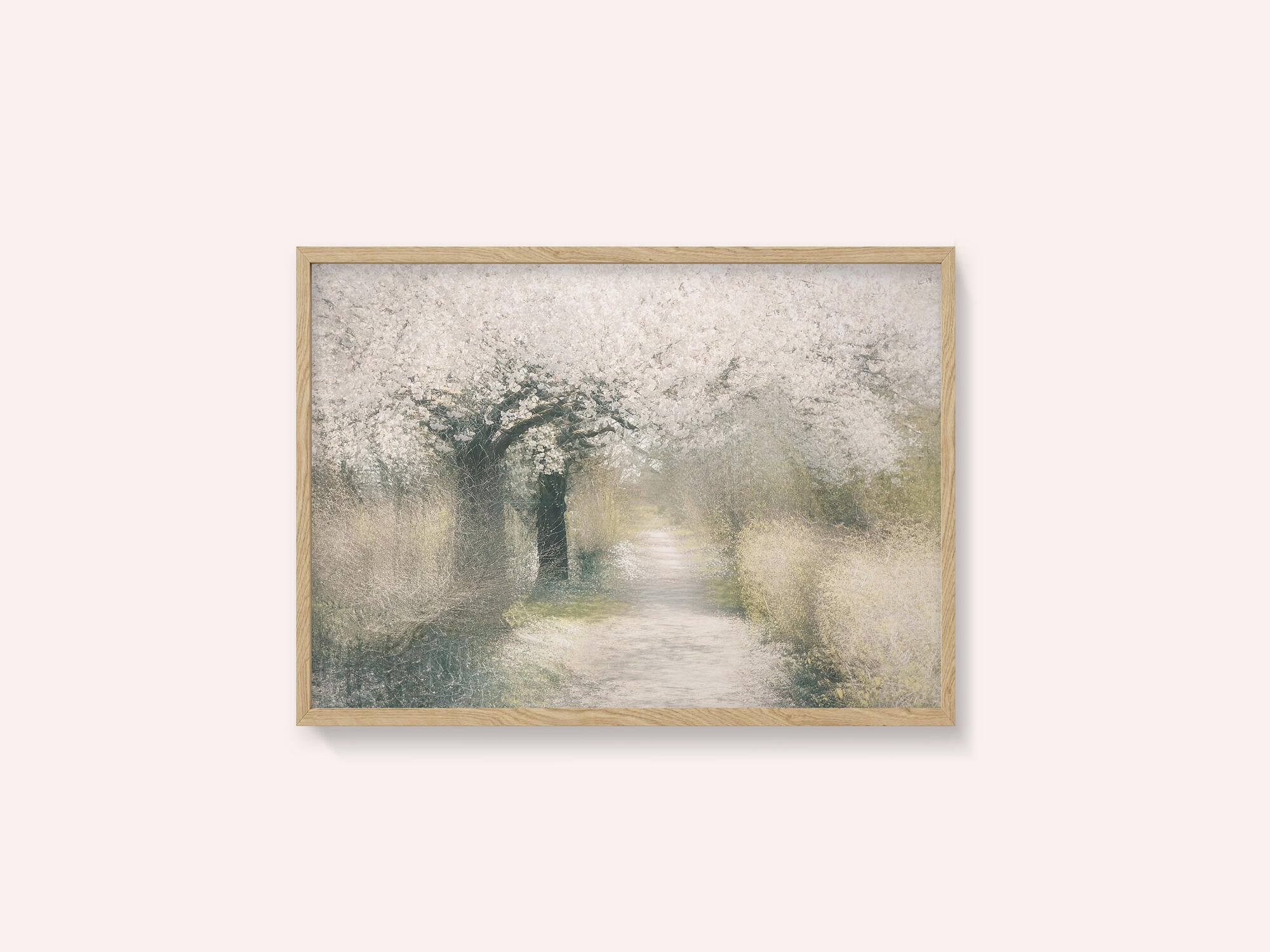Cherry blossom