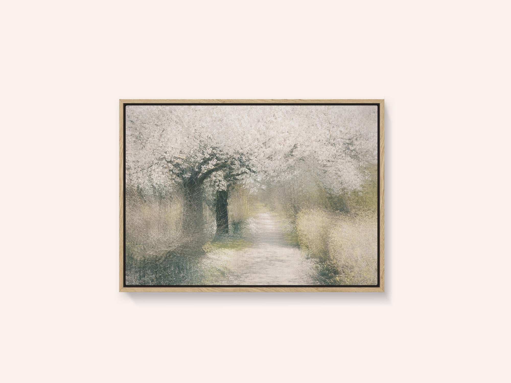 Cherry blossom