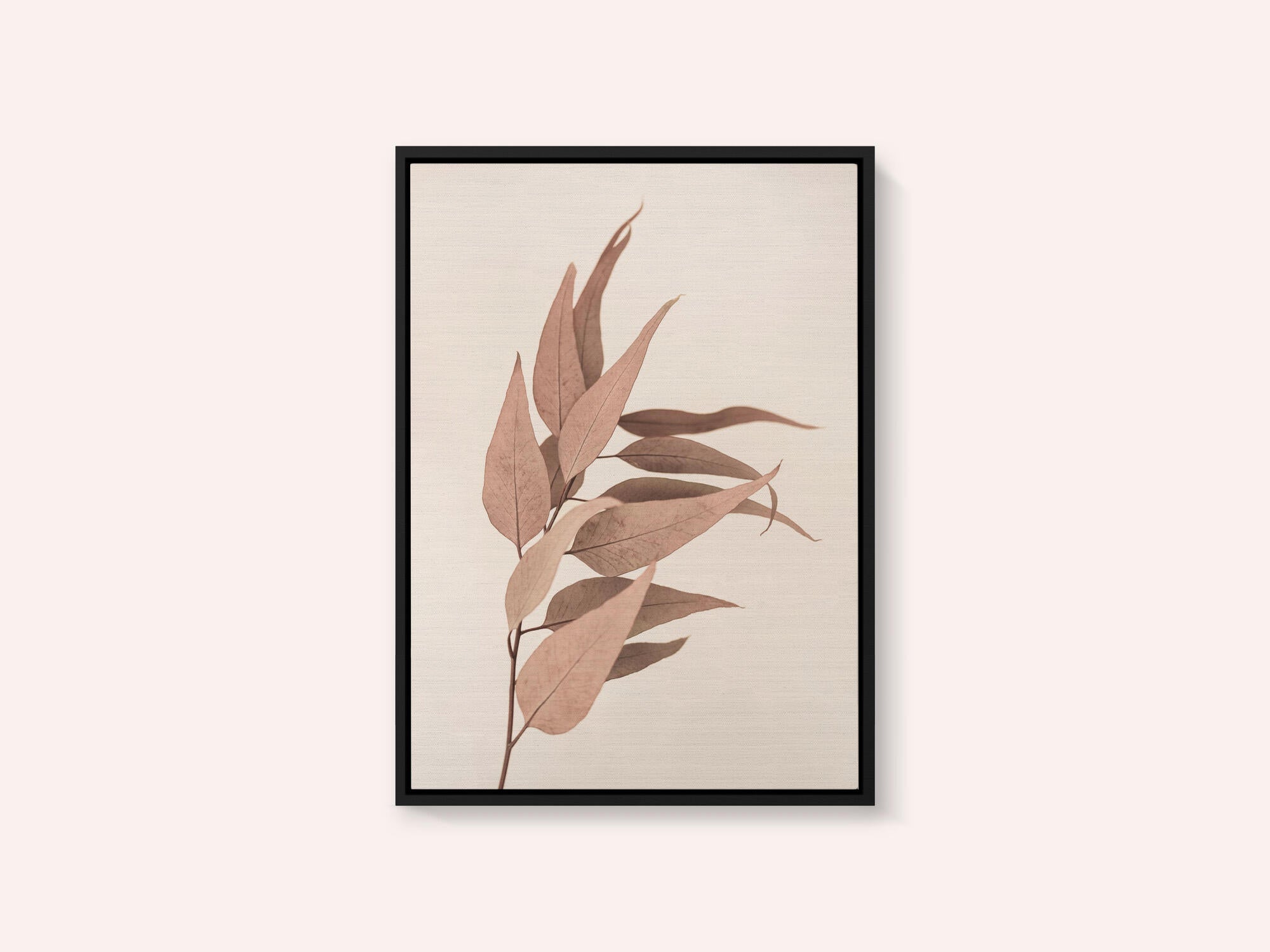 Dried Eucalyptus