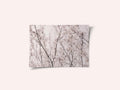 Spring blossoms