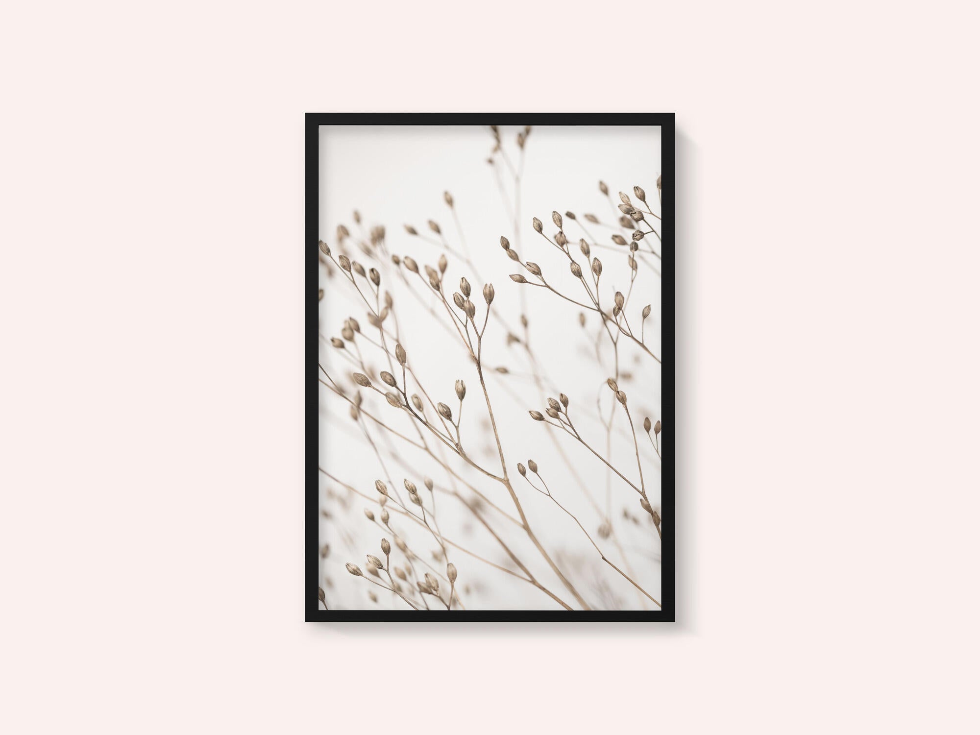 Wild Grass