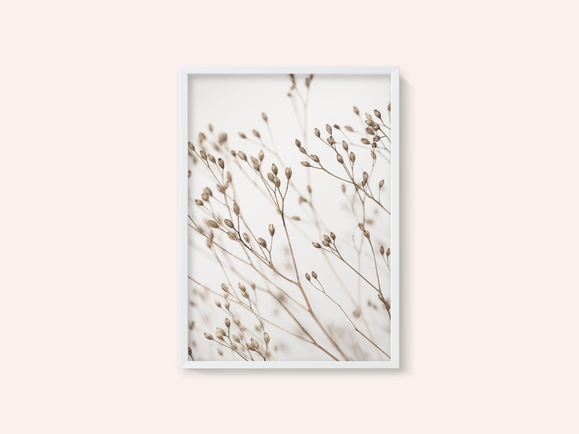 Wild Grass