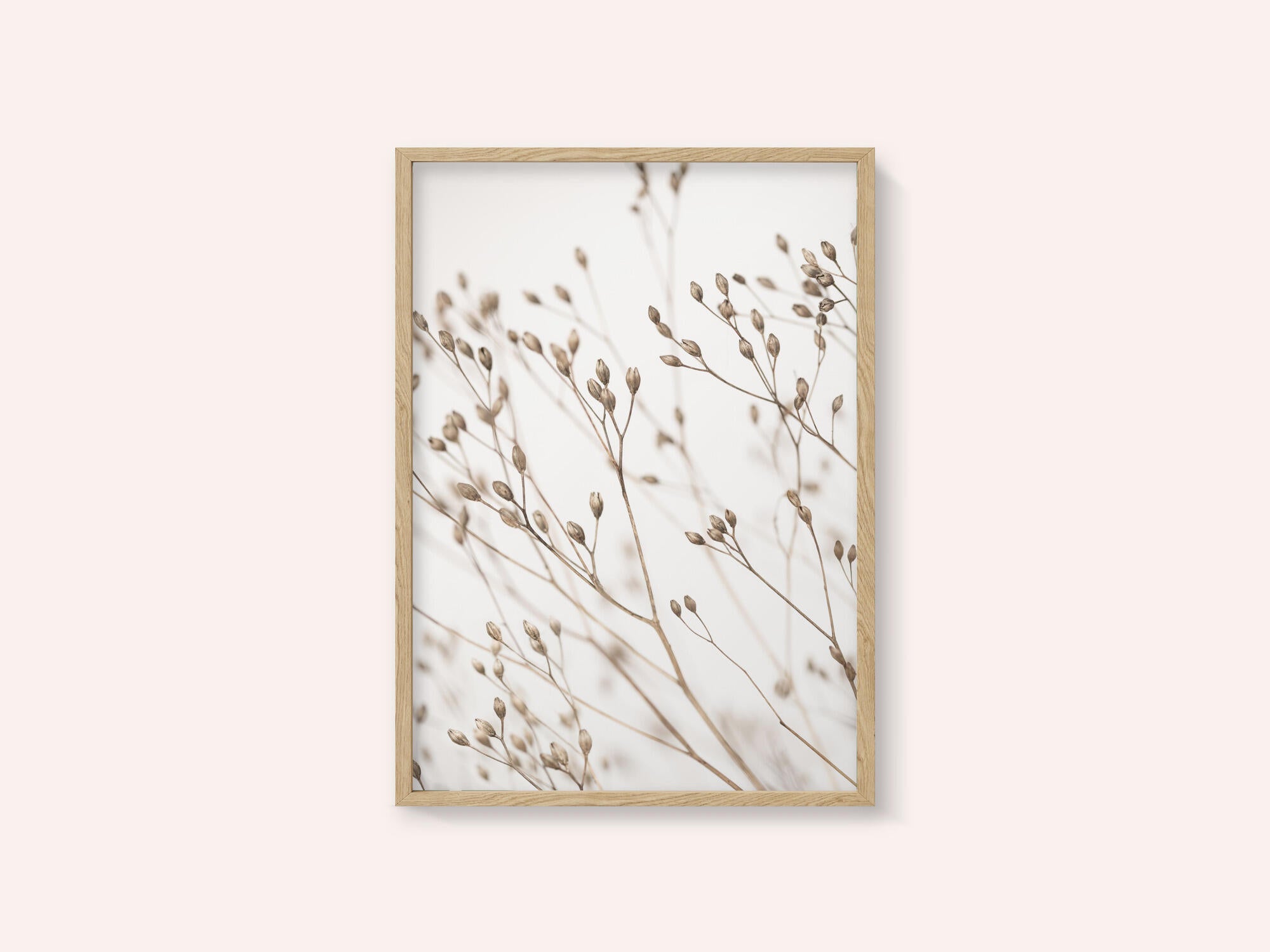 Wild Grass
