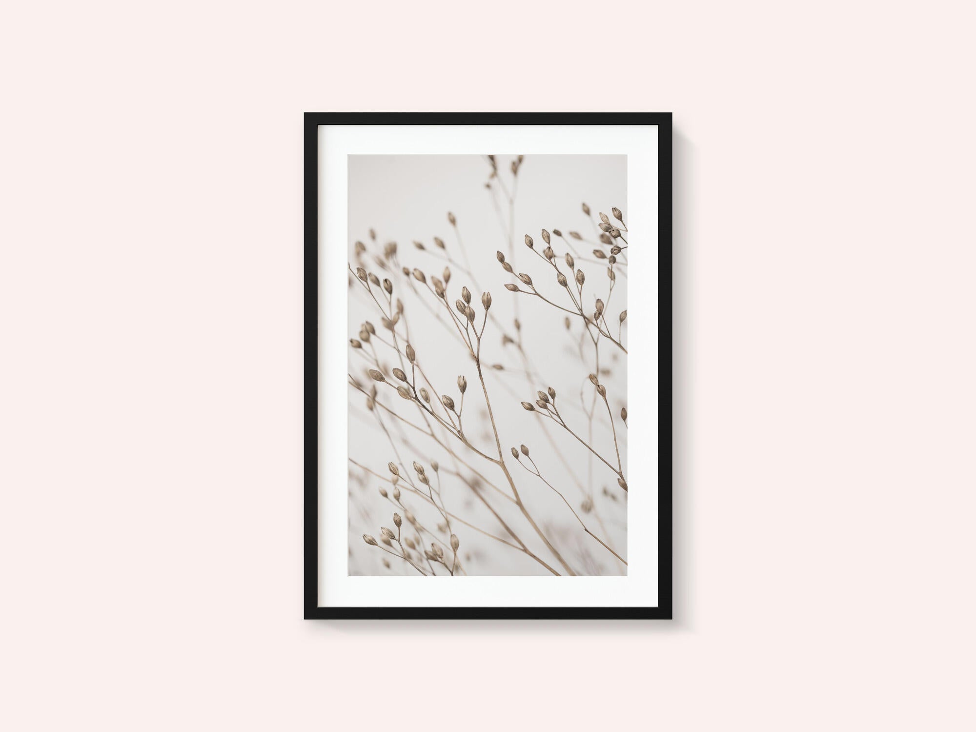 Wild Grass